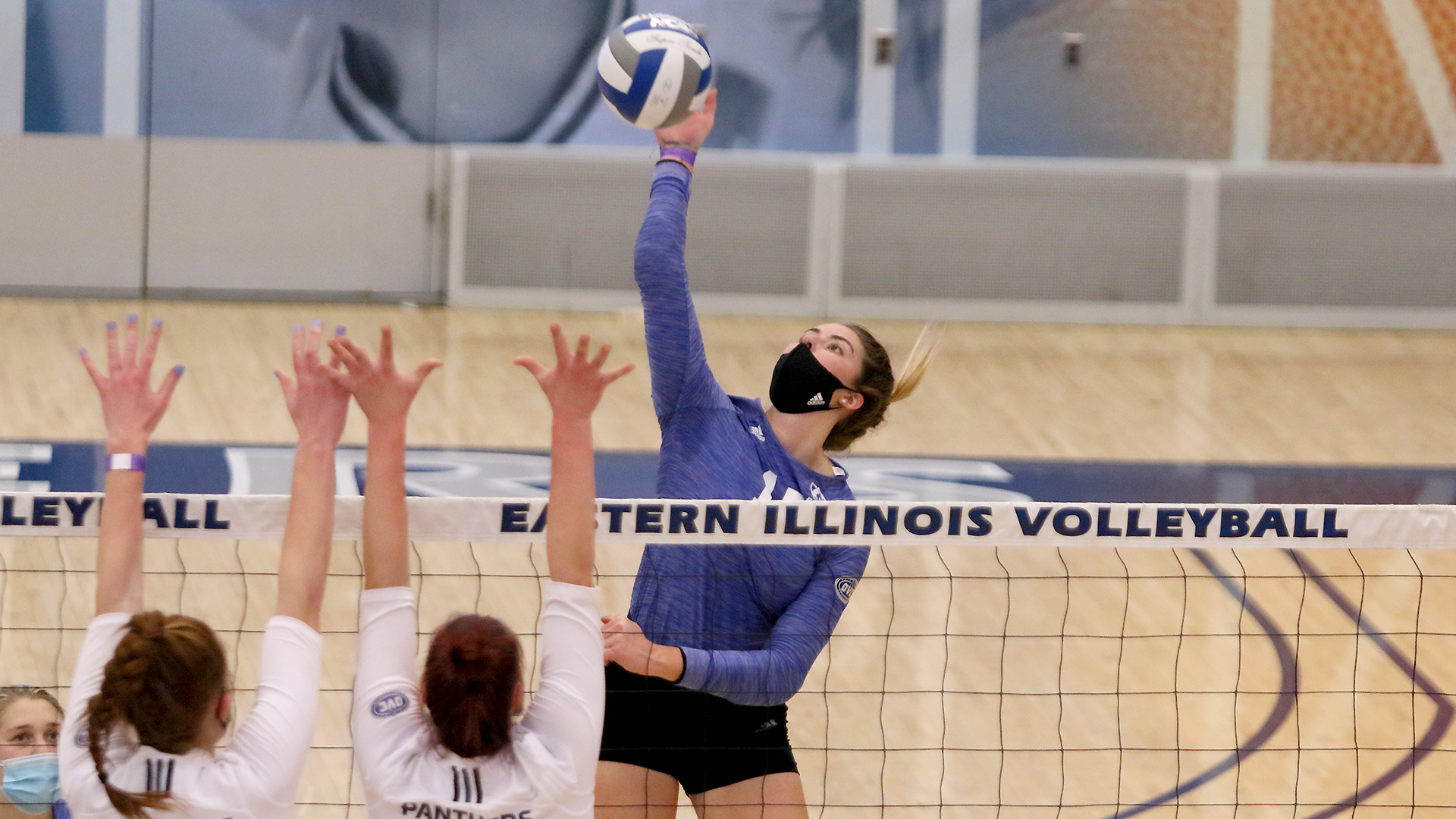 Laurel Bailey Volleyball Eastern Illinois University Athletics