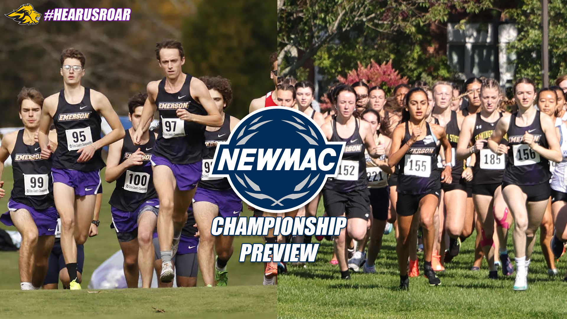Men's and Women's Cross Country Championship Preview