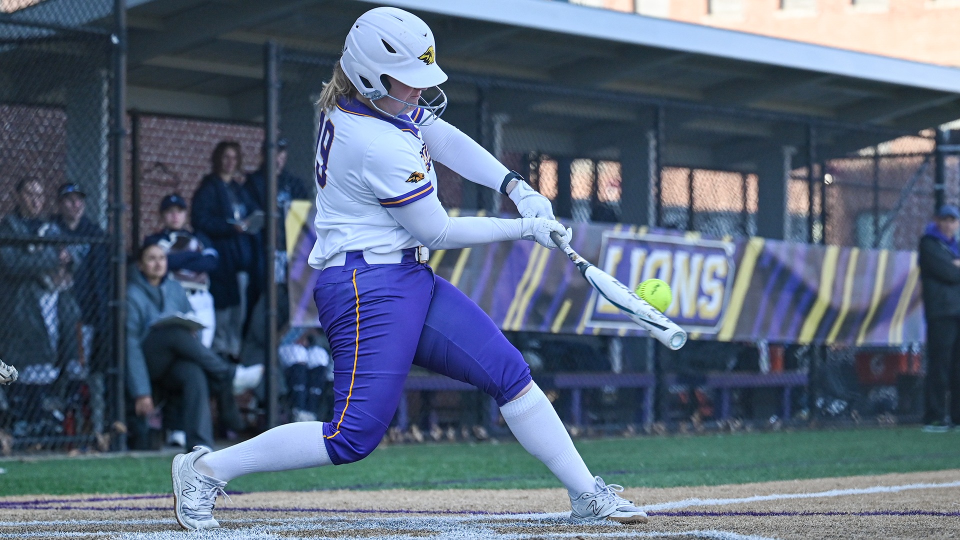 SFB25_LAS-AS_Caiazza2_web