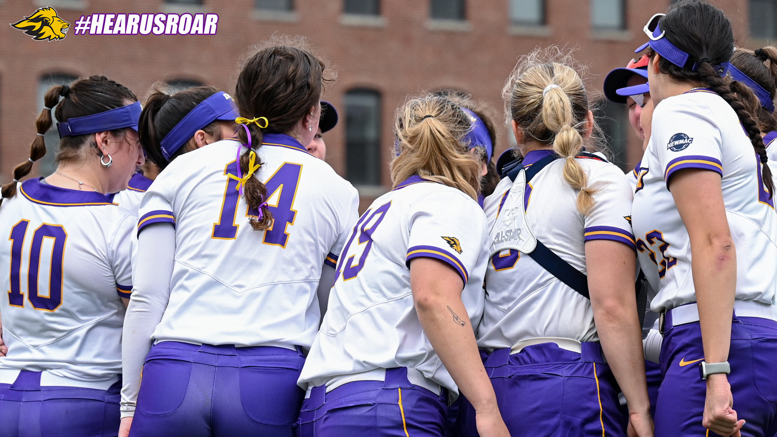 Softball huddles in the circle against WPI
