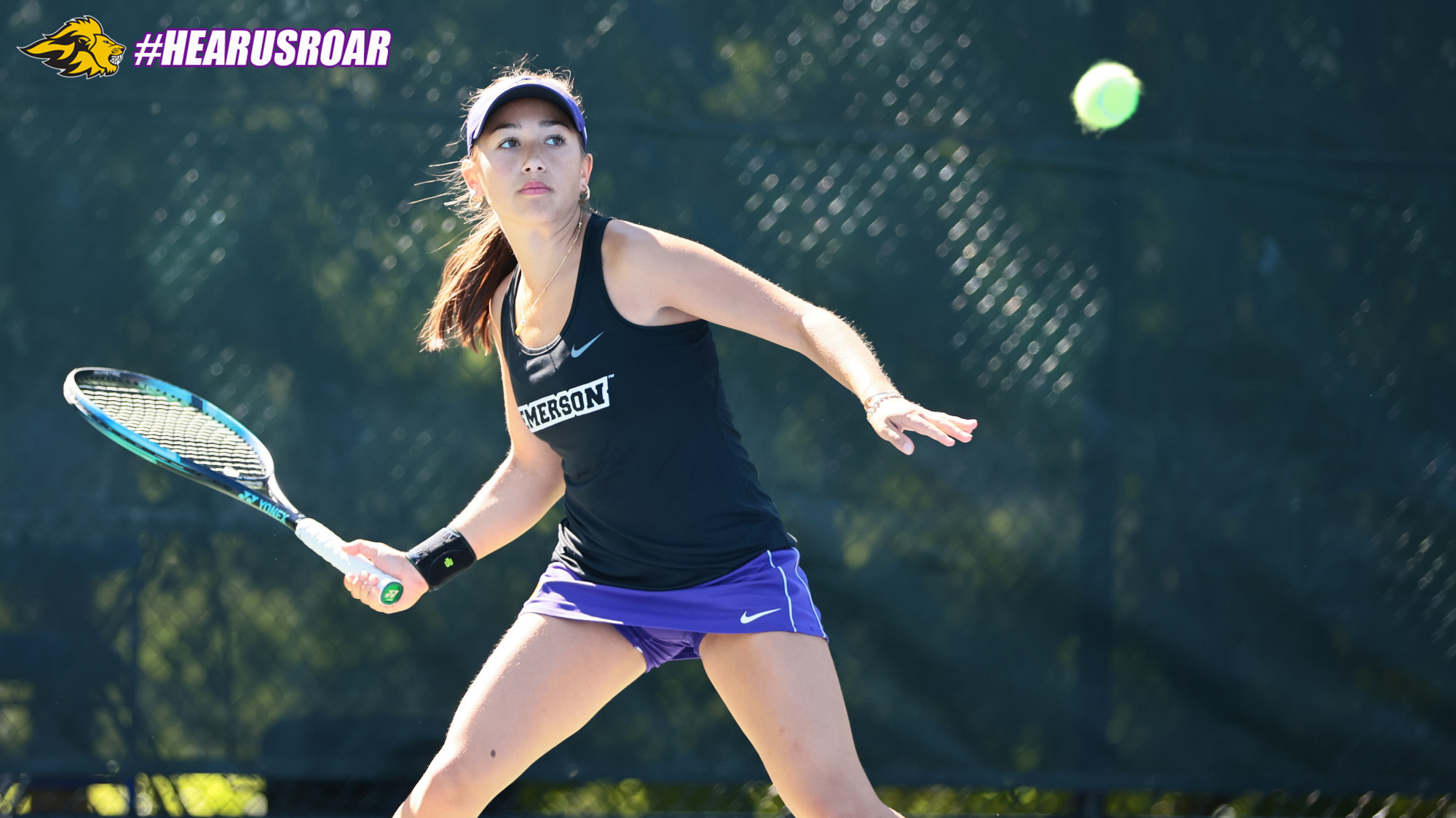 Teah Login at Wellesley