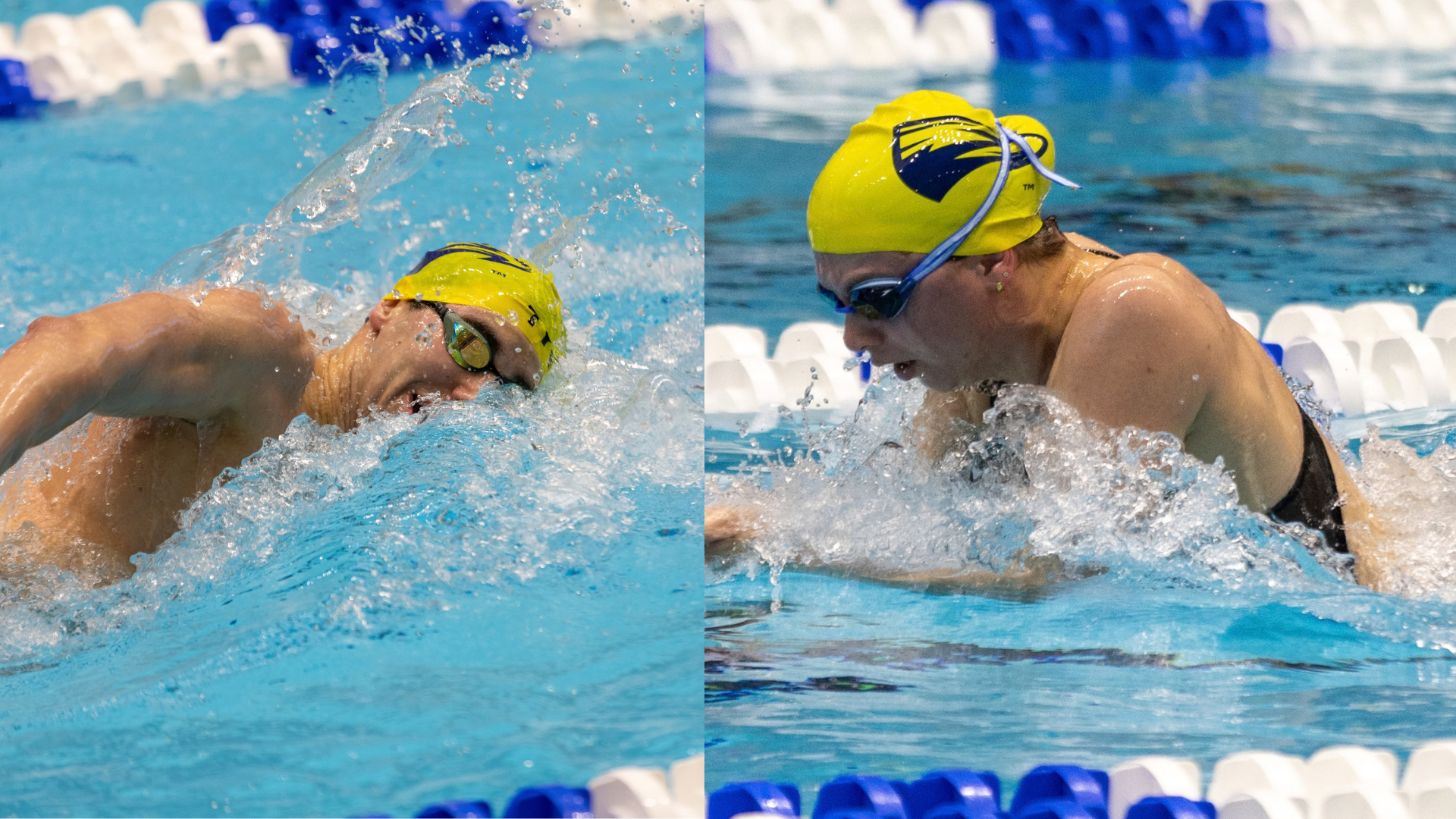 swimmers queens recap