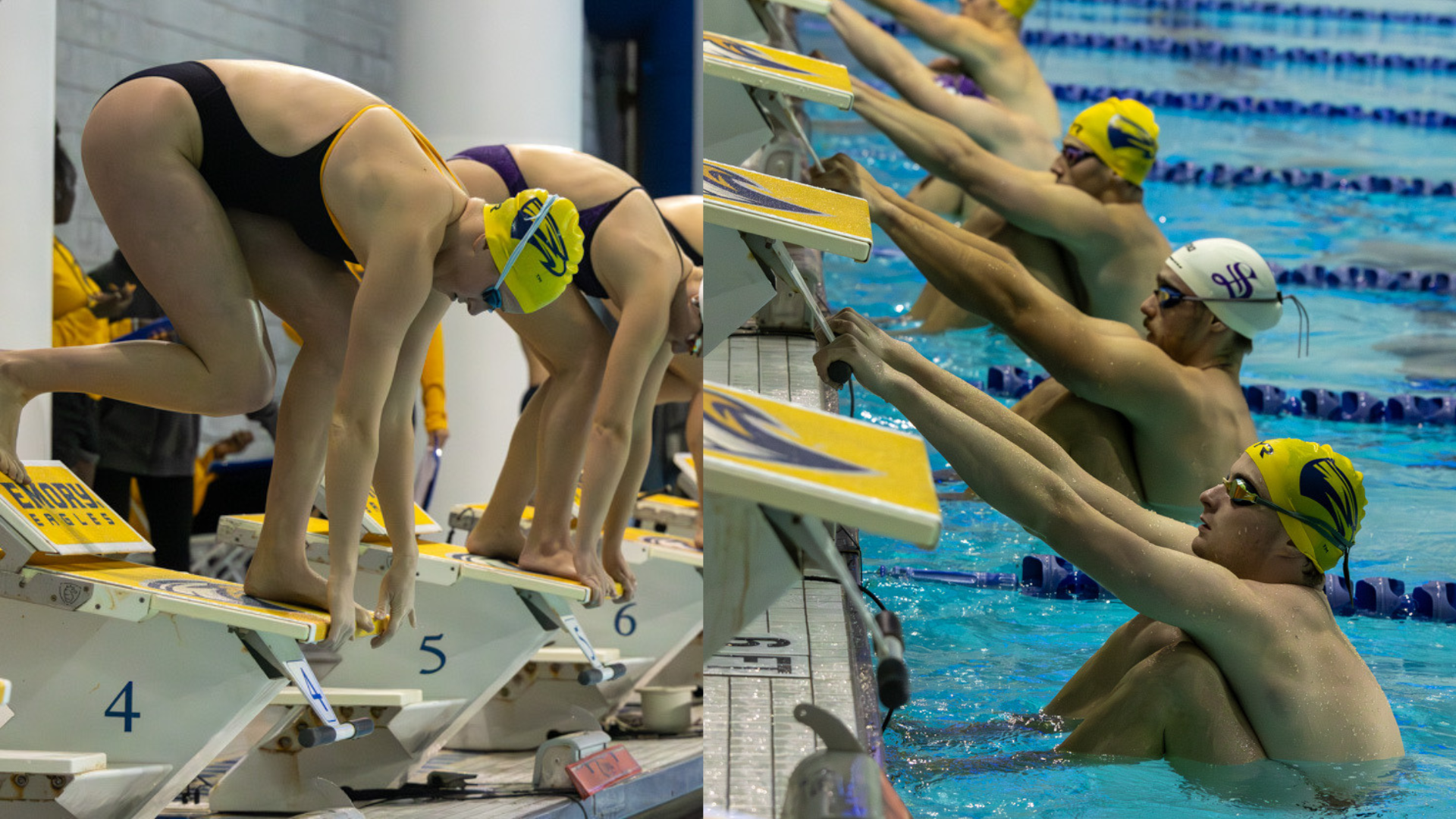 swim sewanee sweep recap