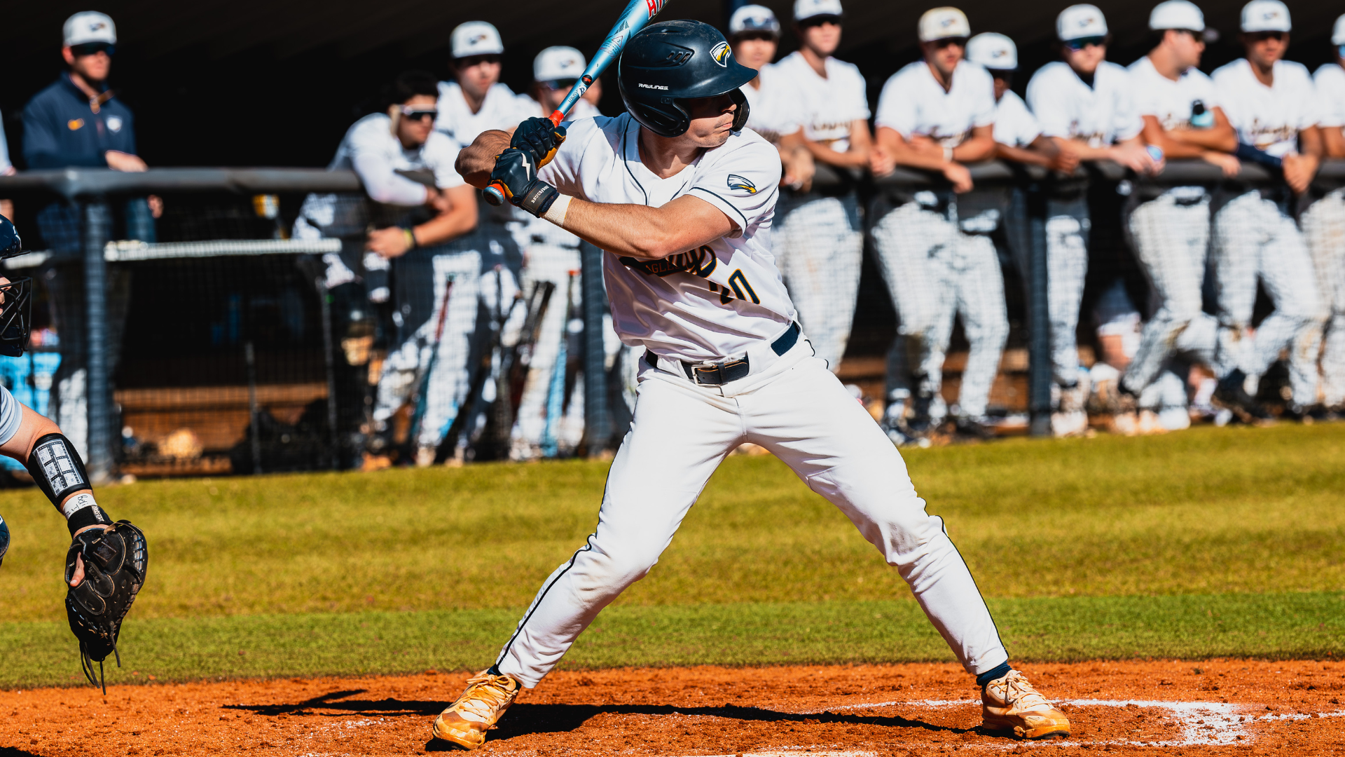 Hanson covenant recap 2-28