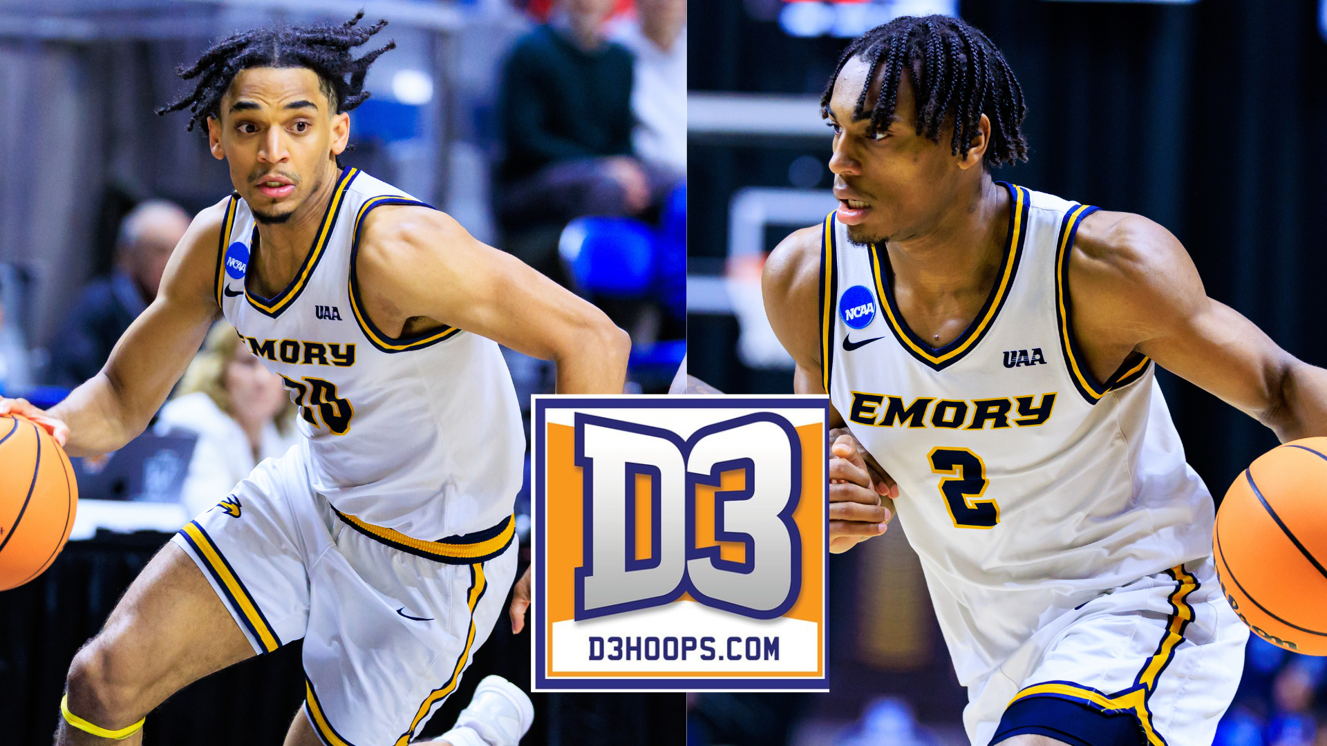 Pearce-Knight D3H AA 26