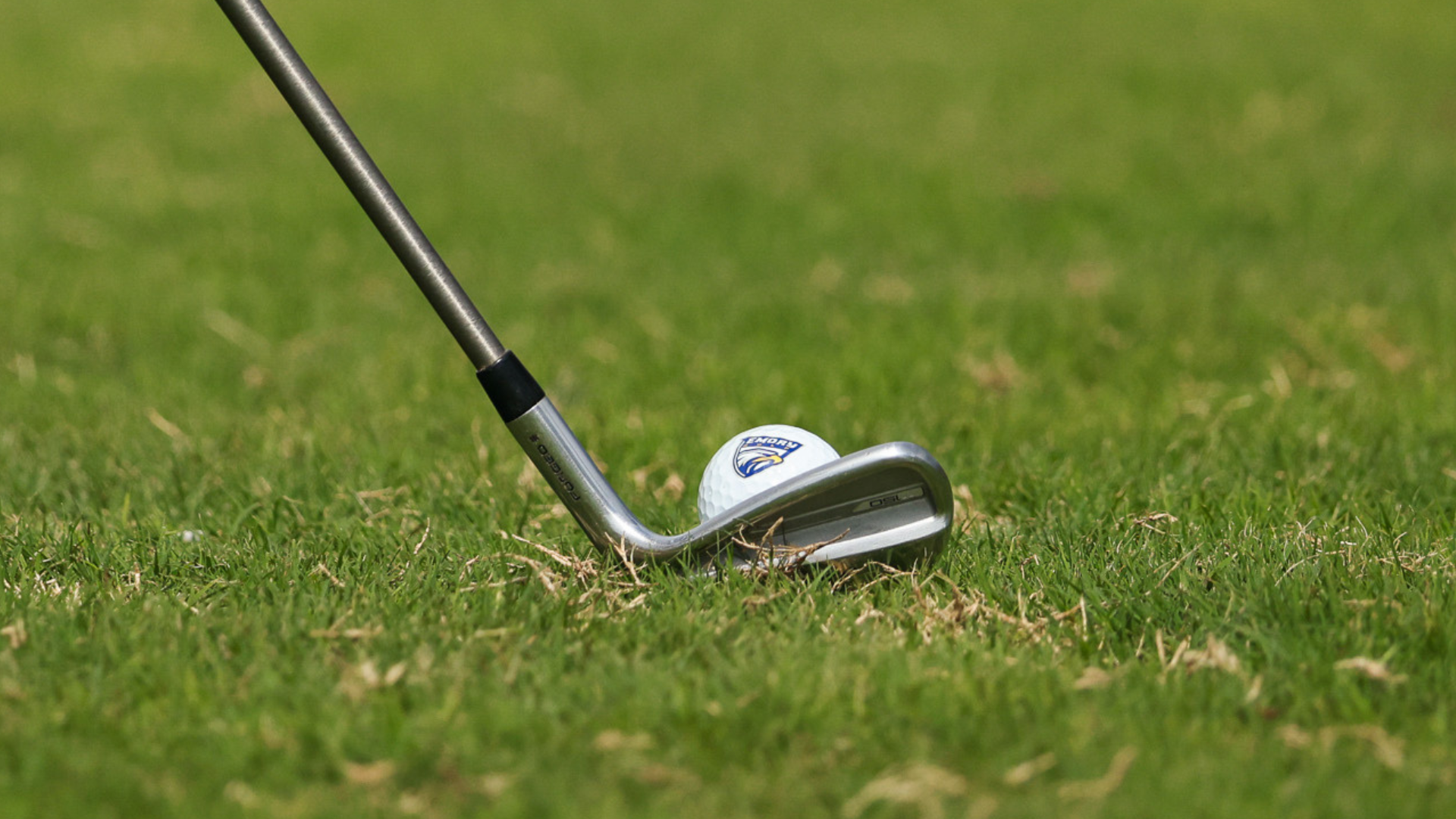 WGOLF release 5-8-26