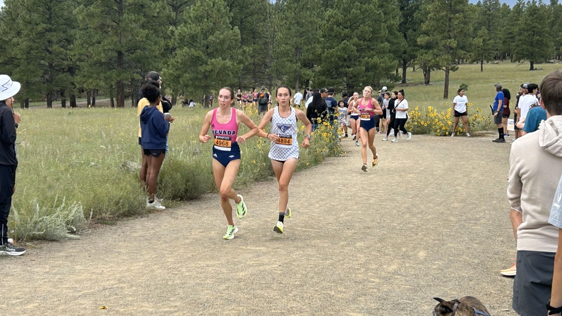 Noreiga Running in Flagstaff