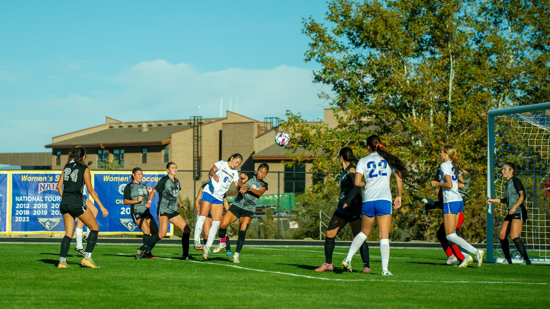 Jamie Brandon header