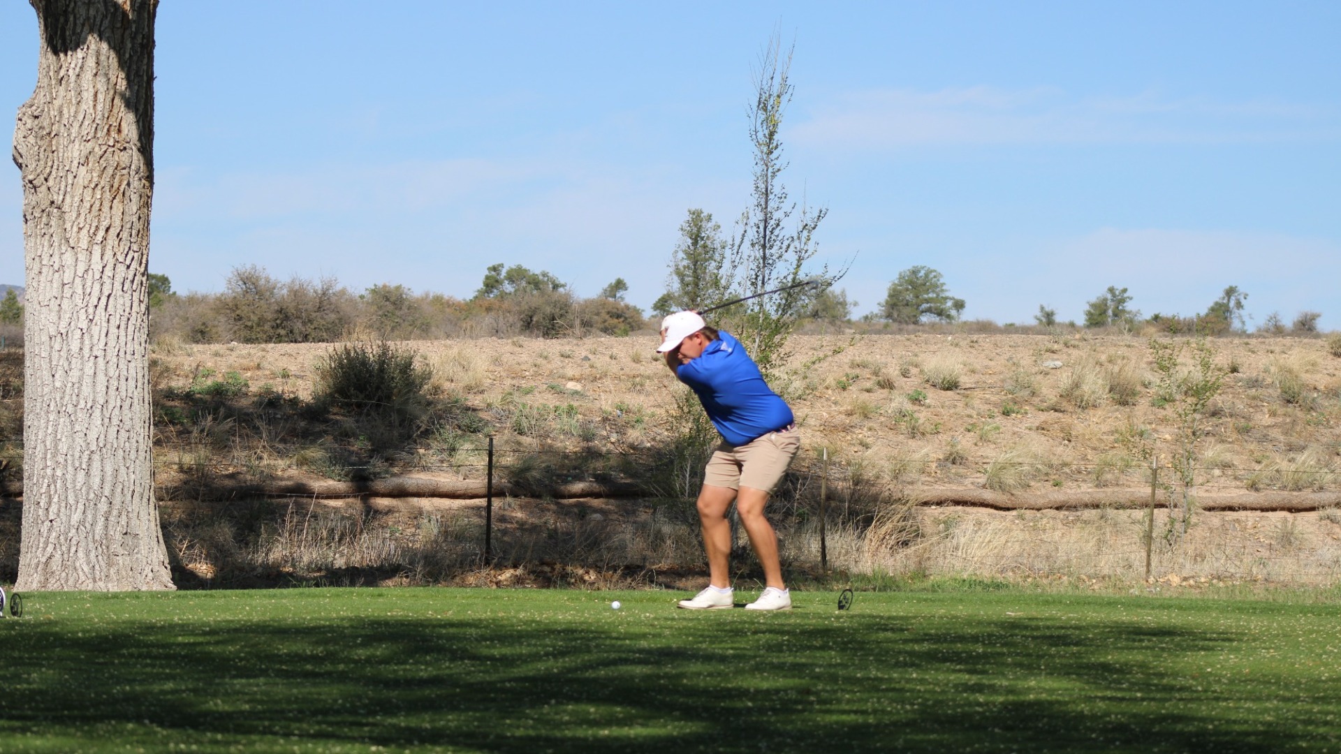 Jordan Garypie Swinging