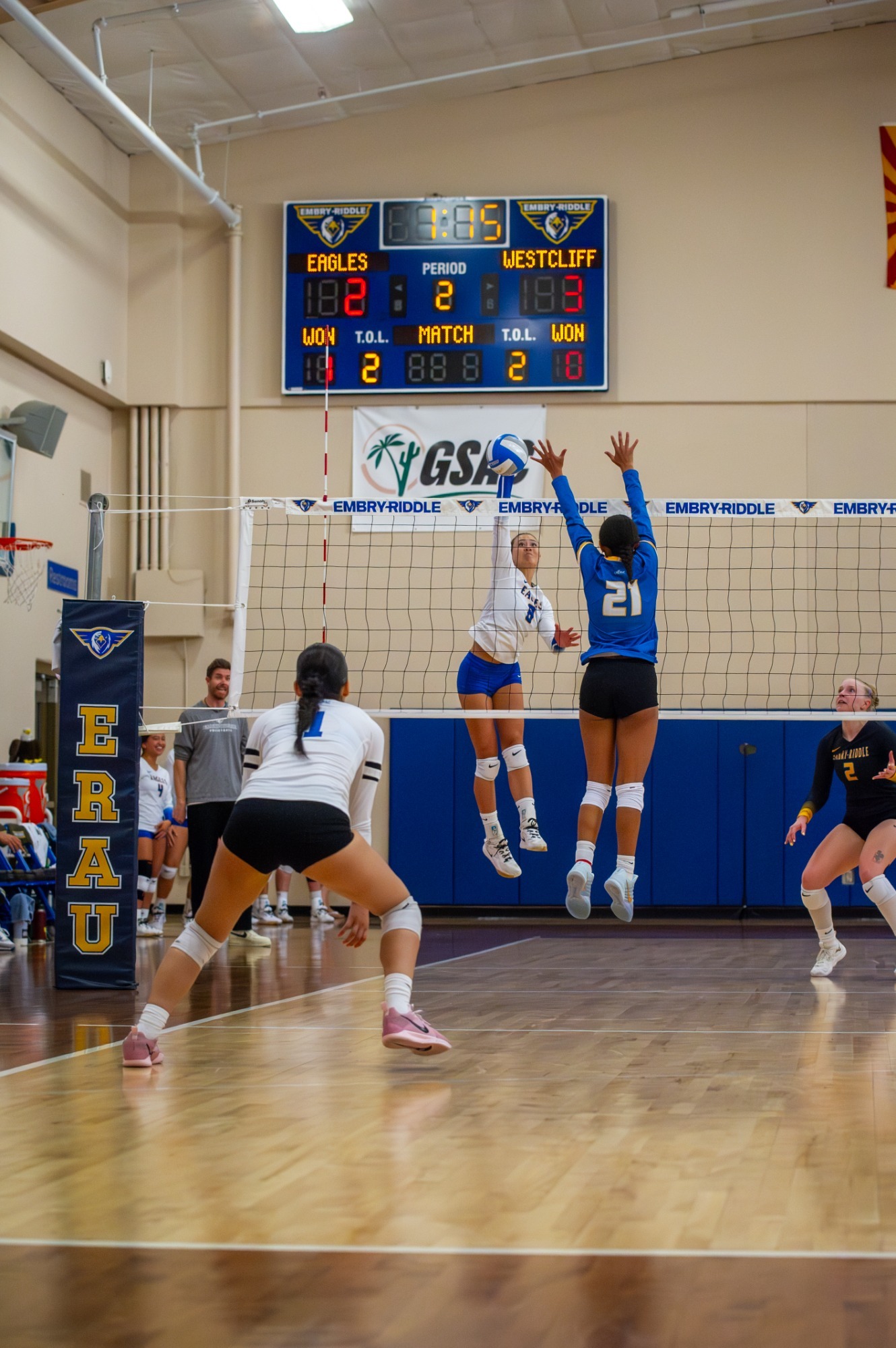 VB