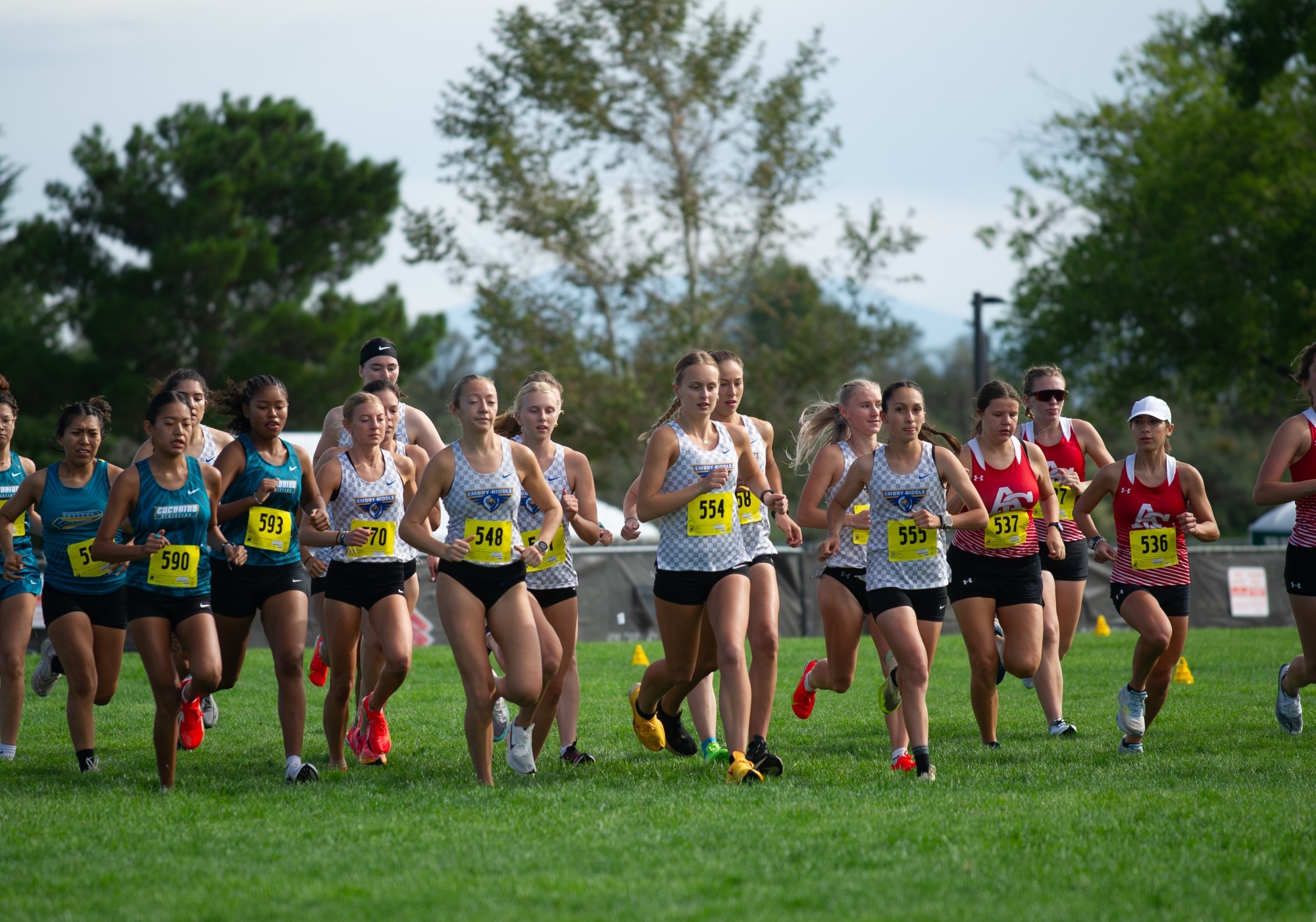 xc