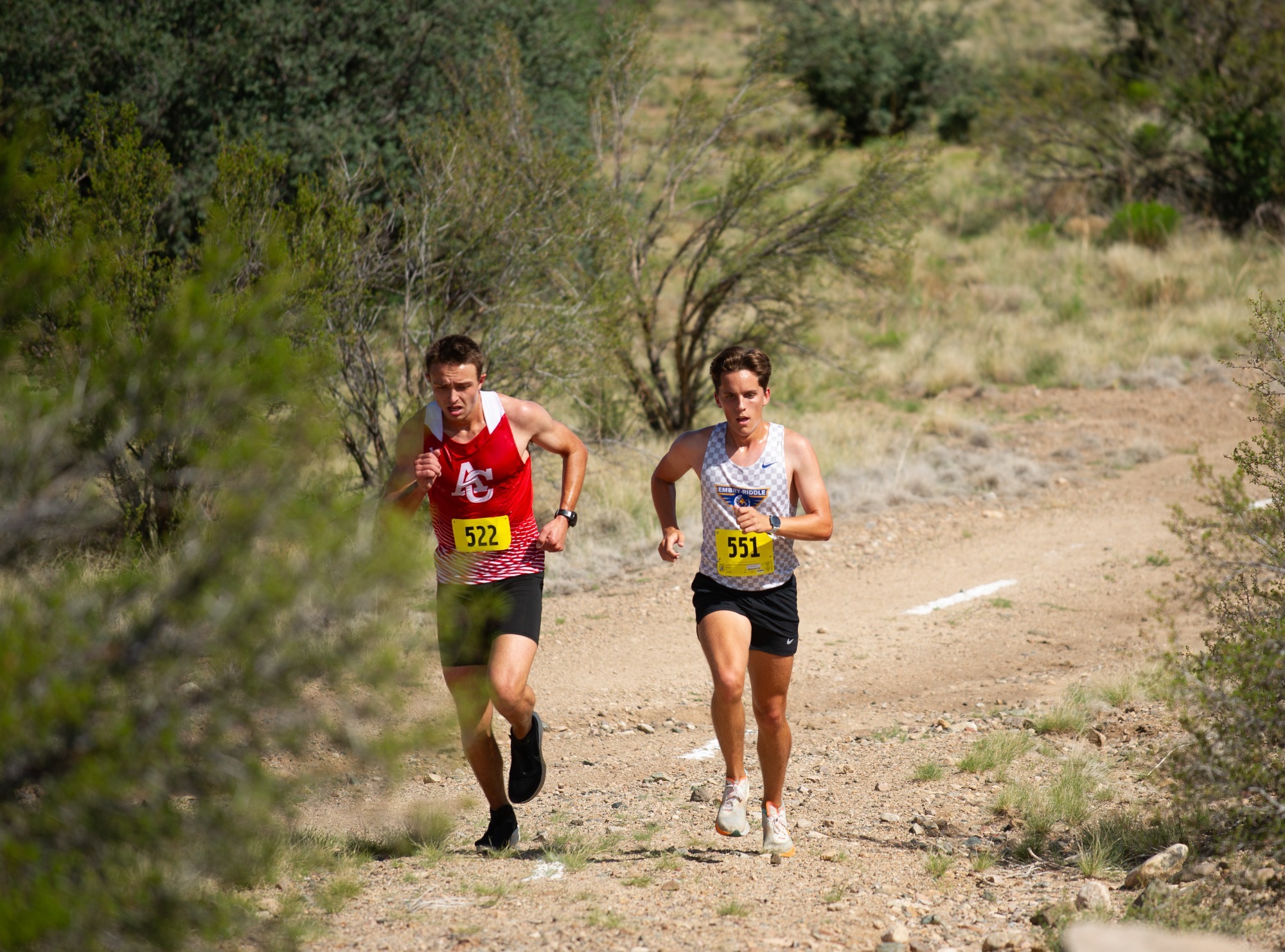 xc