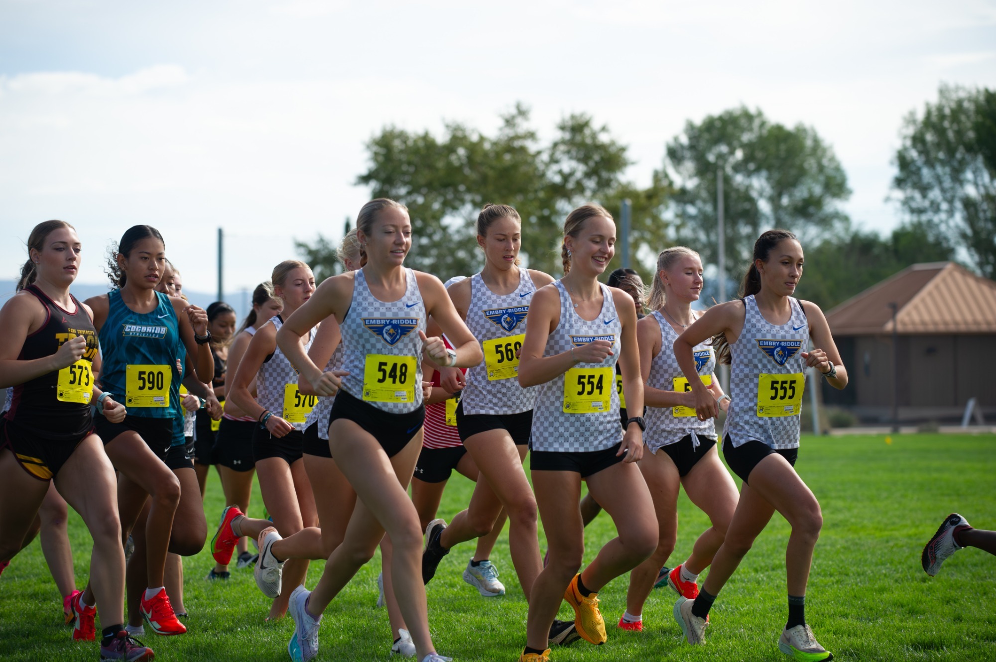 xc