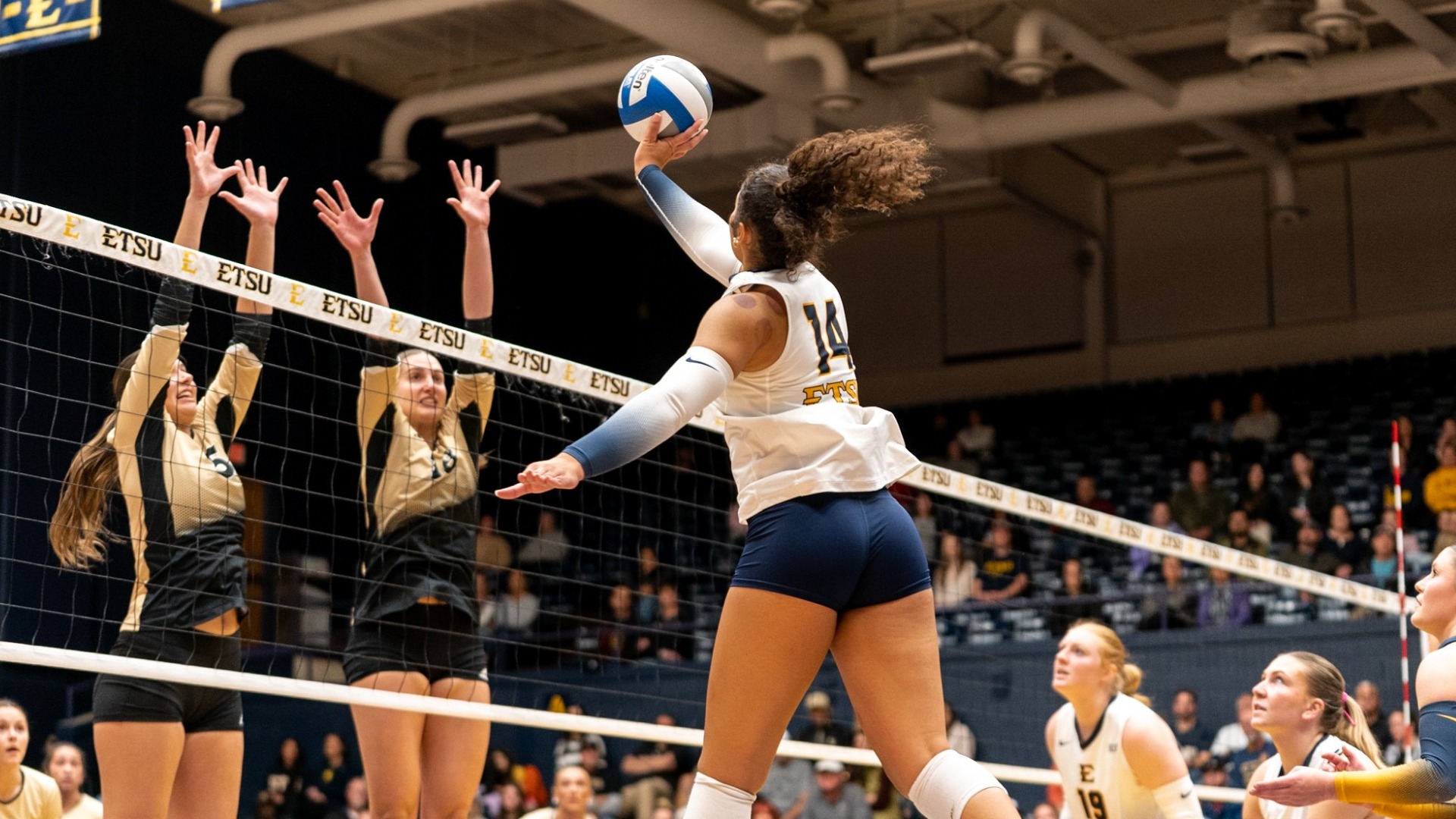 Bays_Makayla_25VB_Wofford2_NH_001