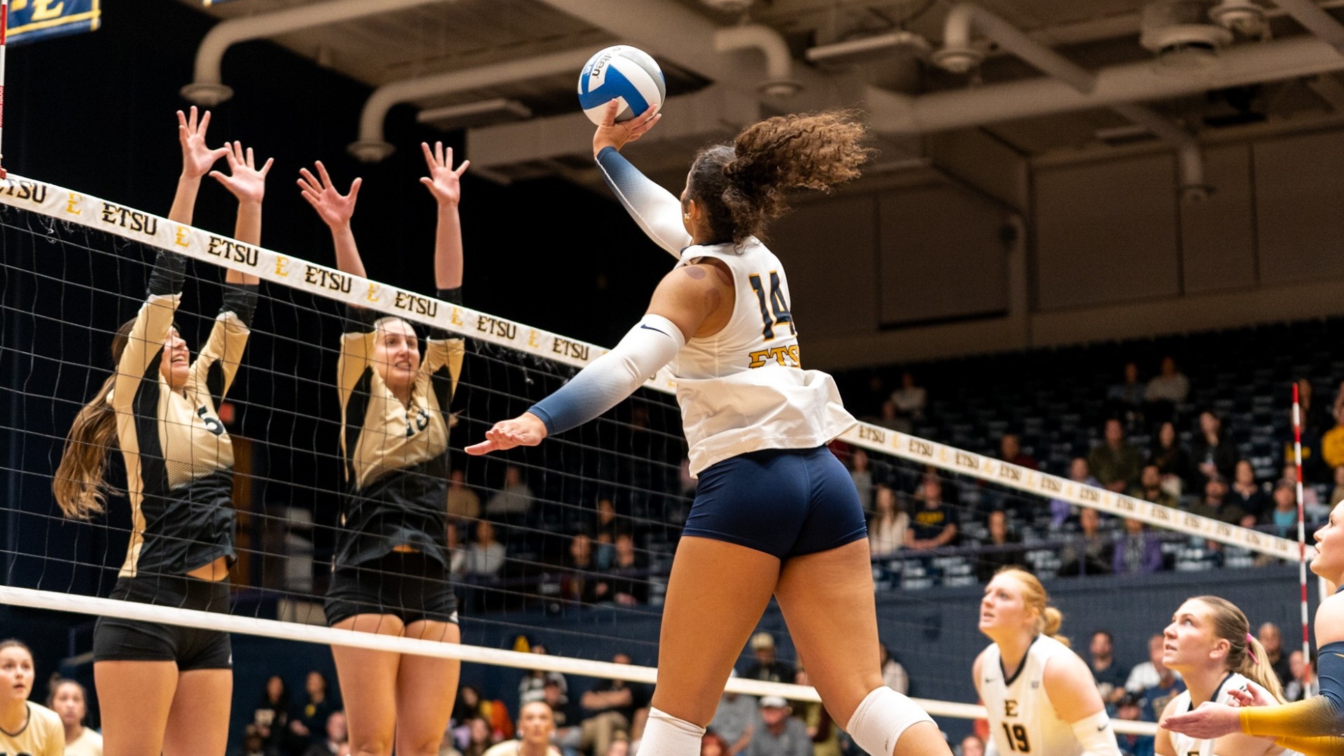 Bays_Makayla_25VB_Wofford2_