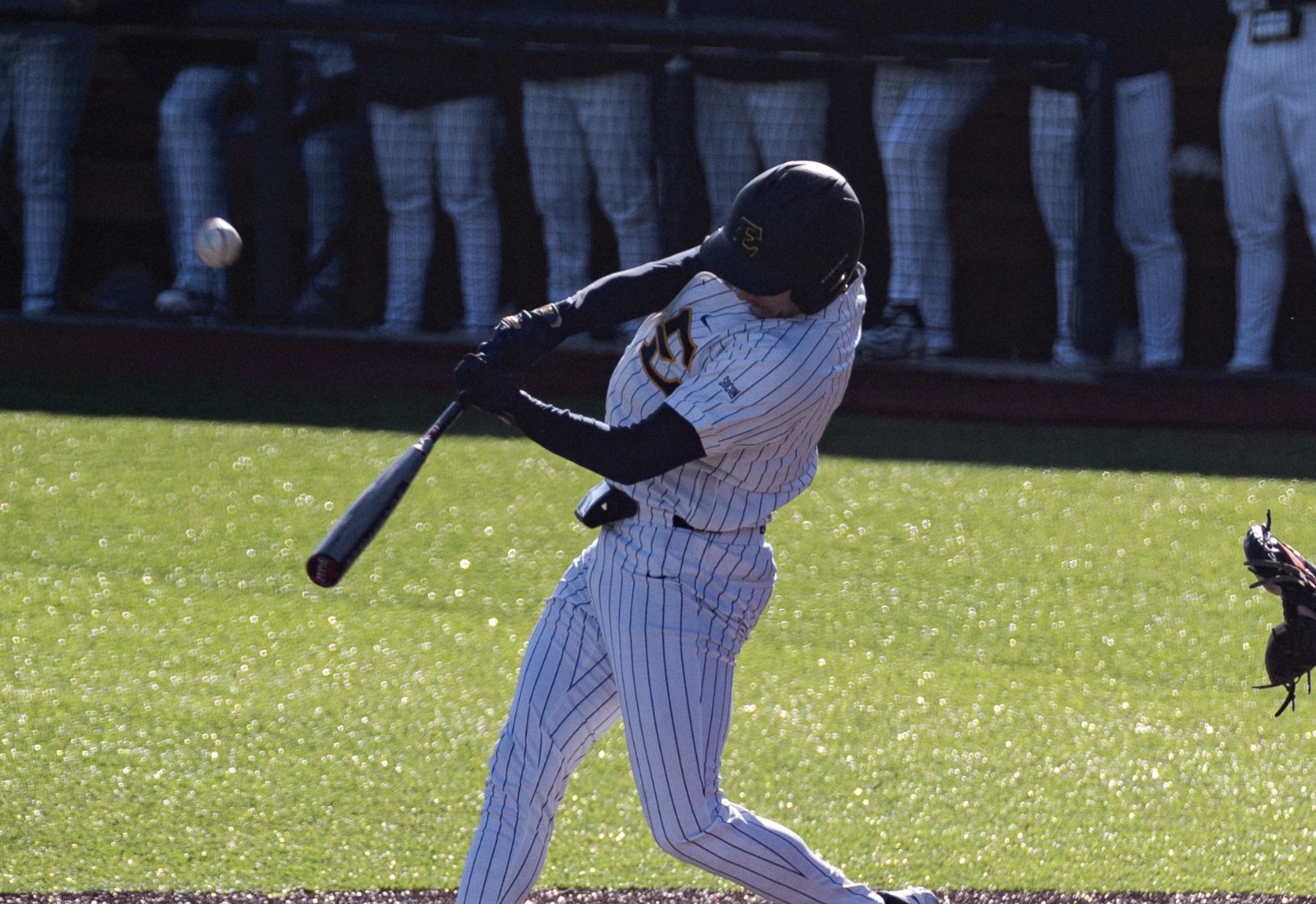 curless-action-marist