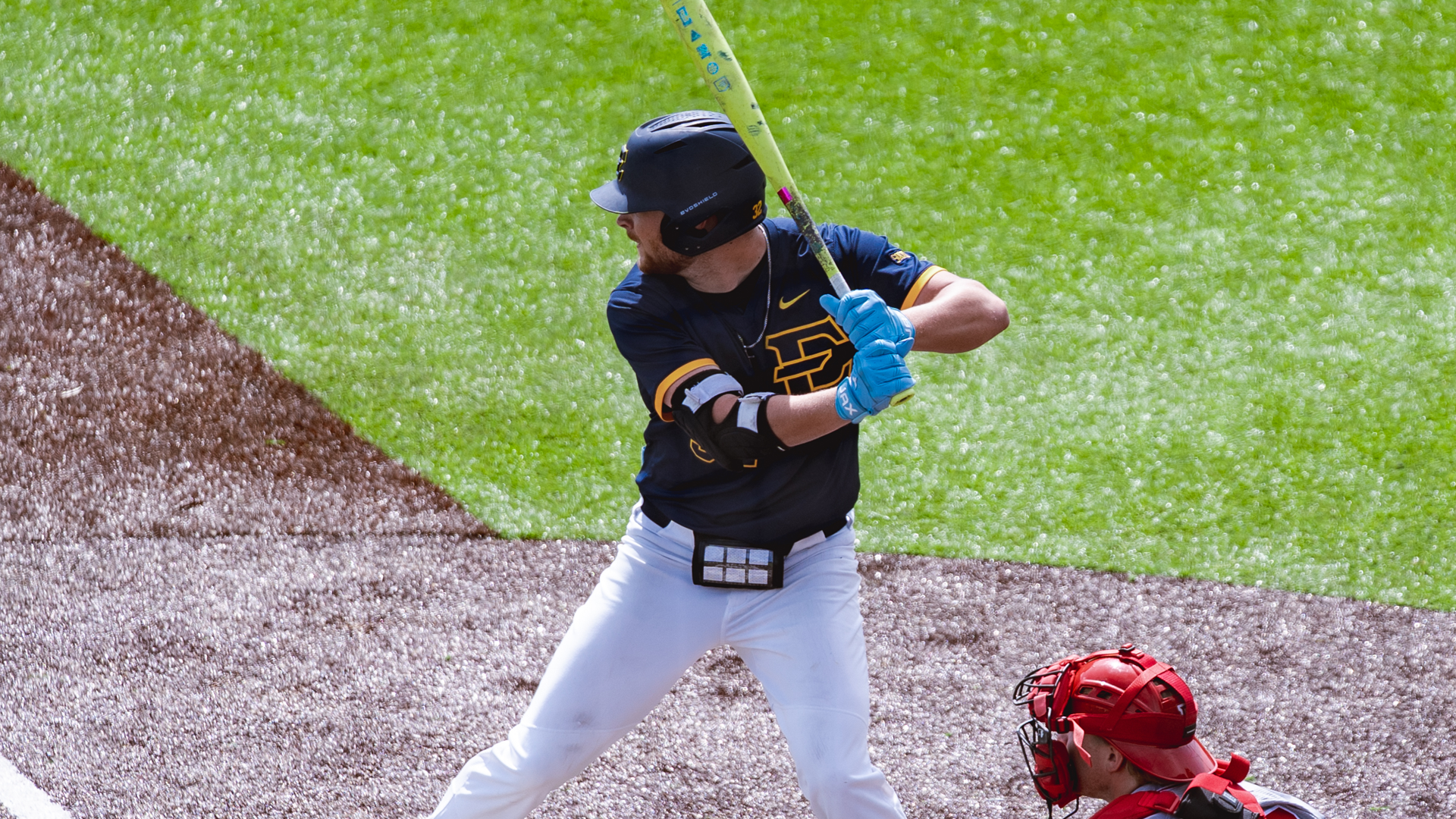 tristan-curless-bradley