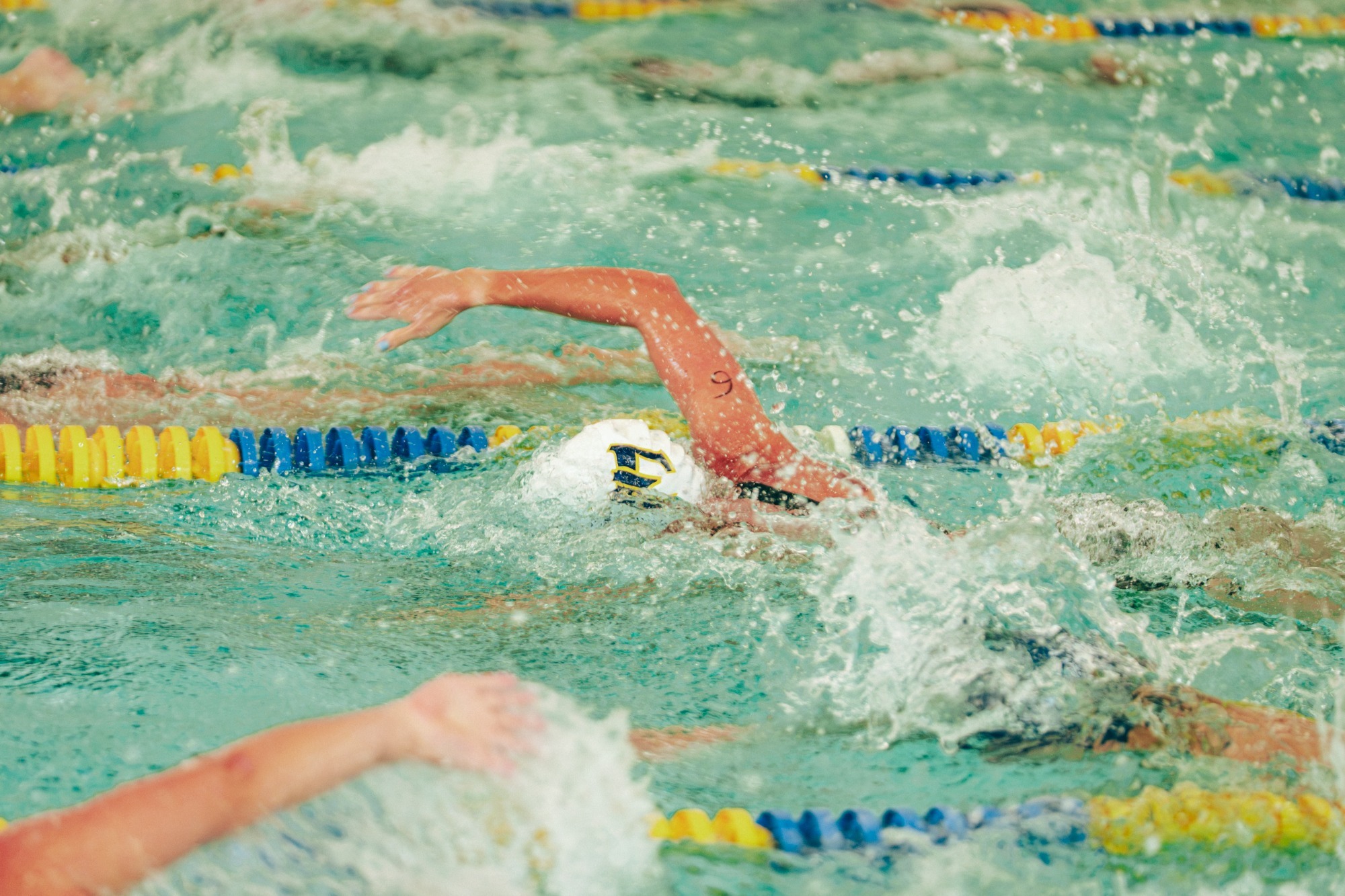 Tri swimmer 2026 BCC