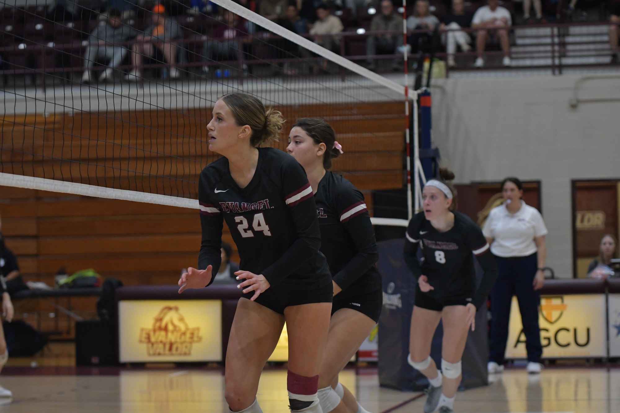 Bella Wakley - 2023 - Women's Volleyball - Evangel University of the ...