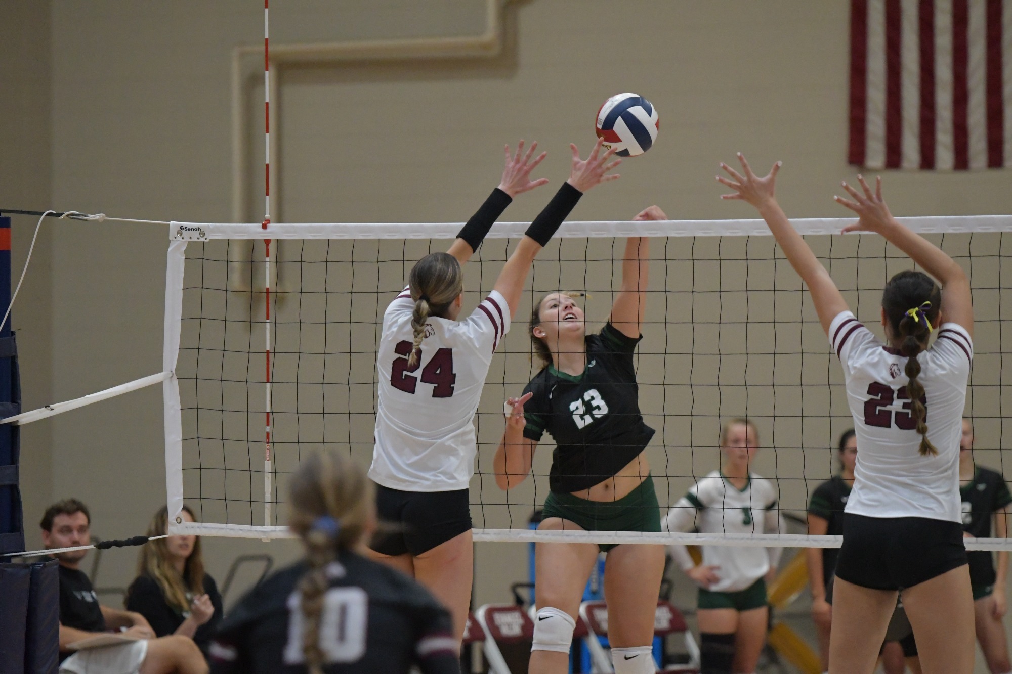 Bella Wakley - 2023 - Women's Volleyball - Evangel University of the ...