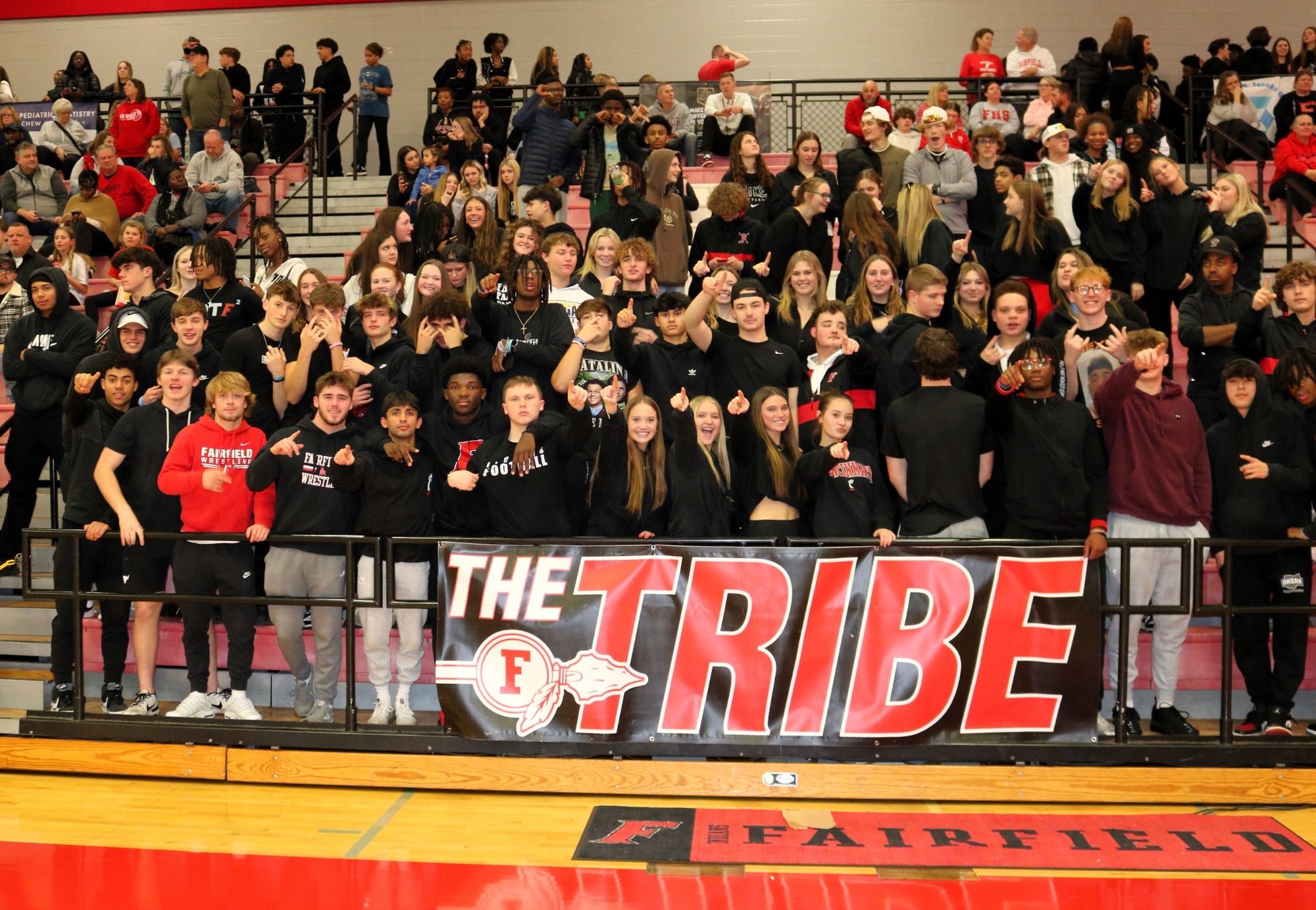 Tribe Themes