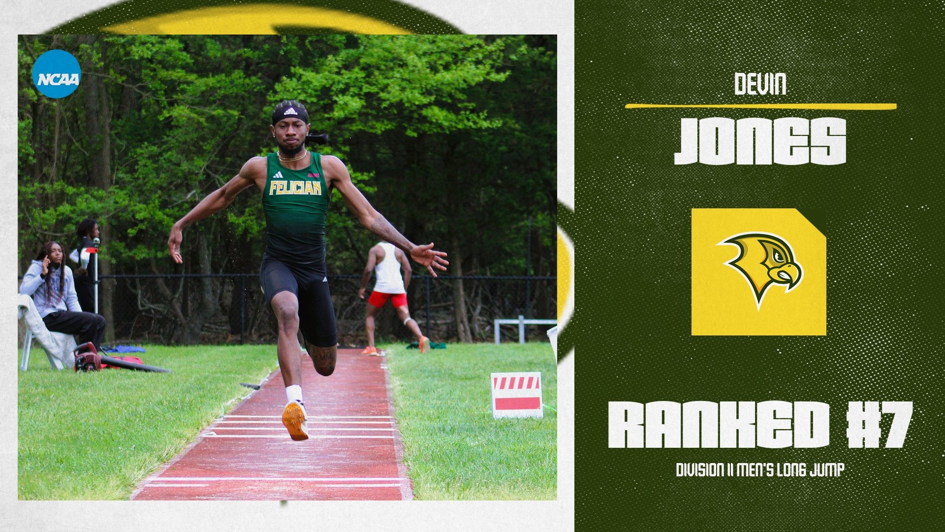 Jones #7 D2 Landscape