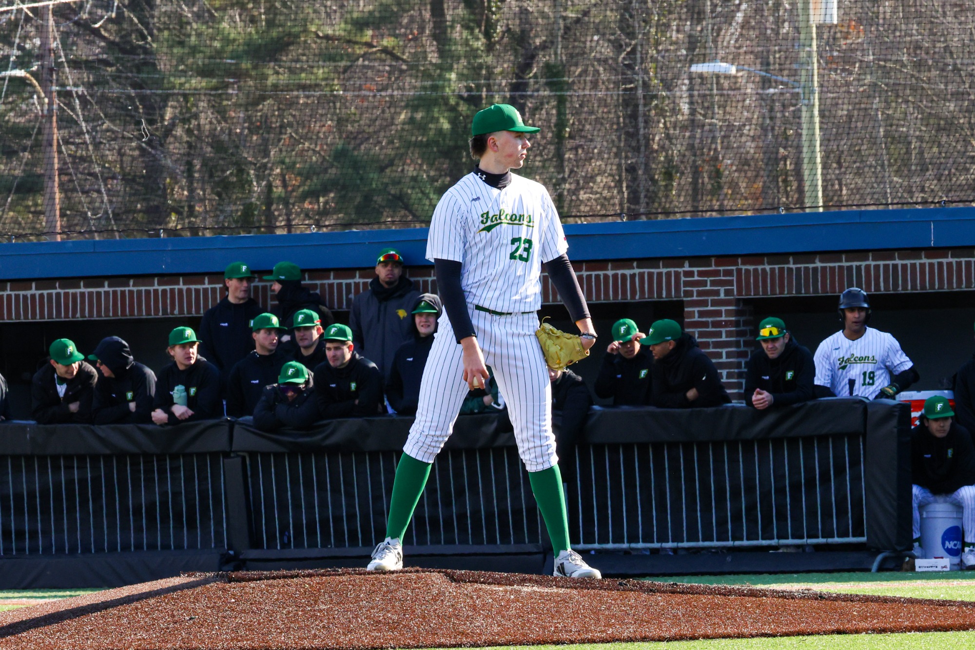 Max Weber prepares to throw a pitch. 