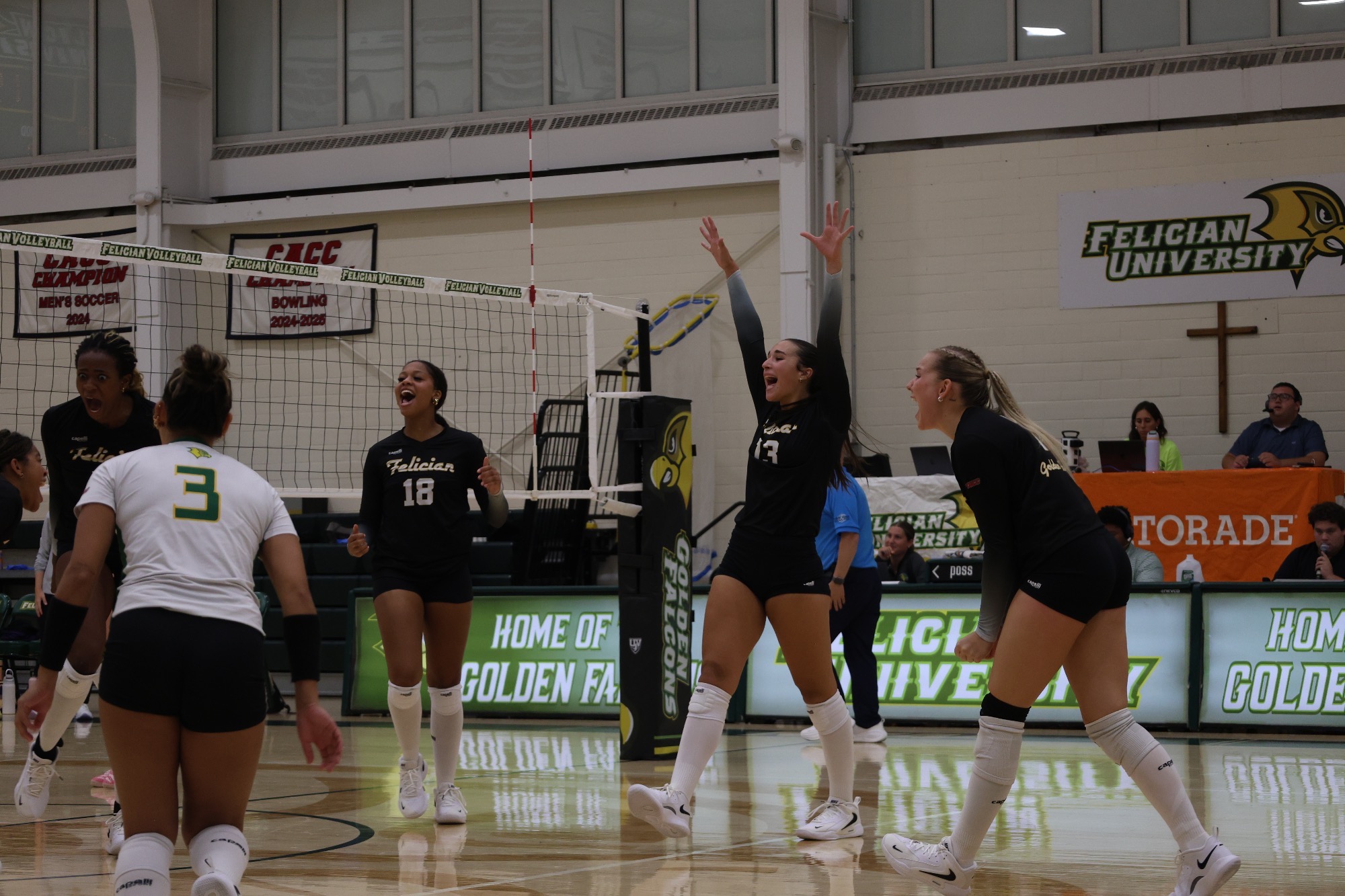 Women's Volleyball celebrating a point