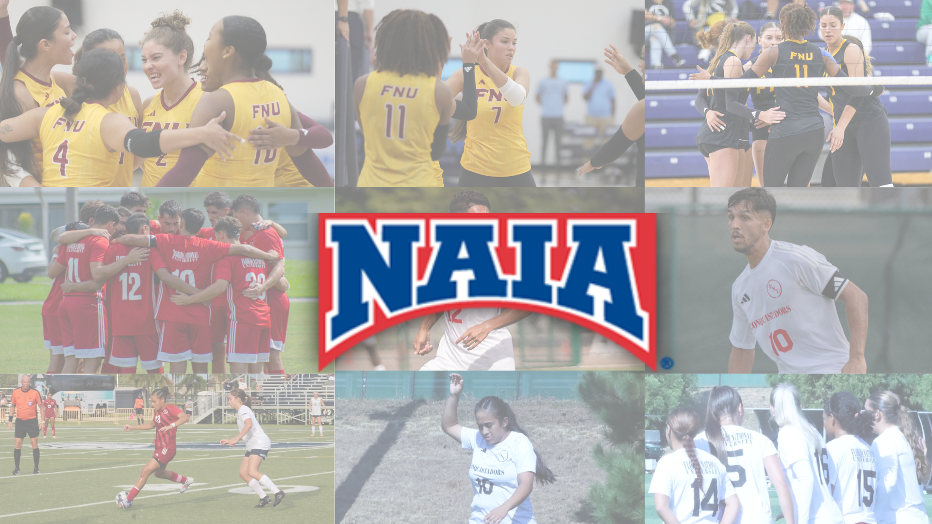 NAIA Scholar-Athletes for fall sports 2025-26 graphic