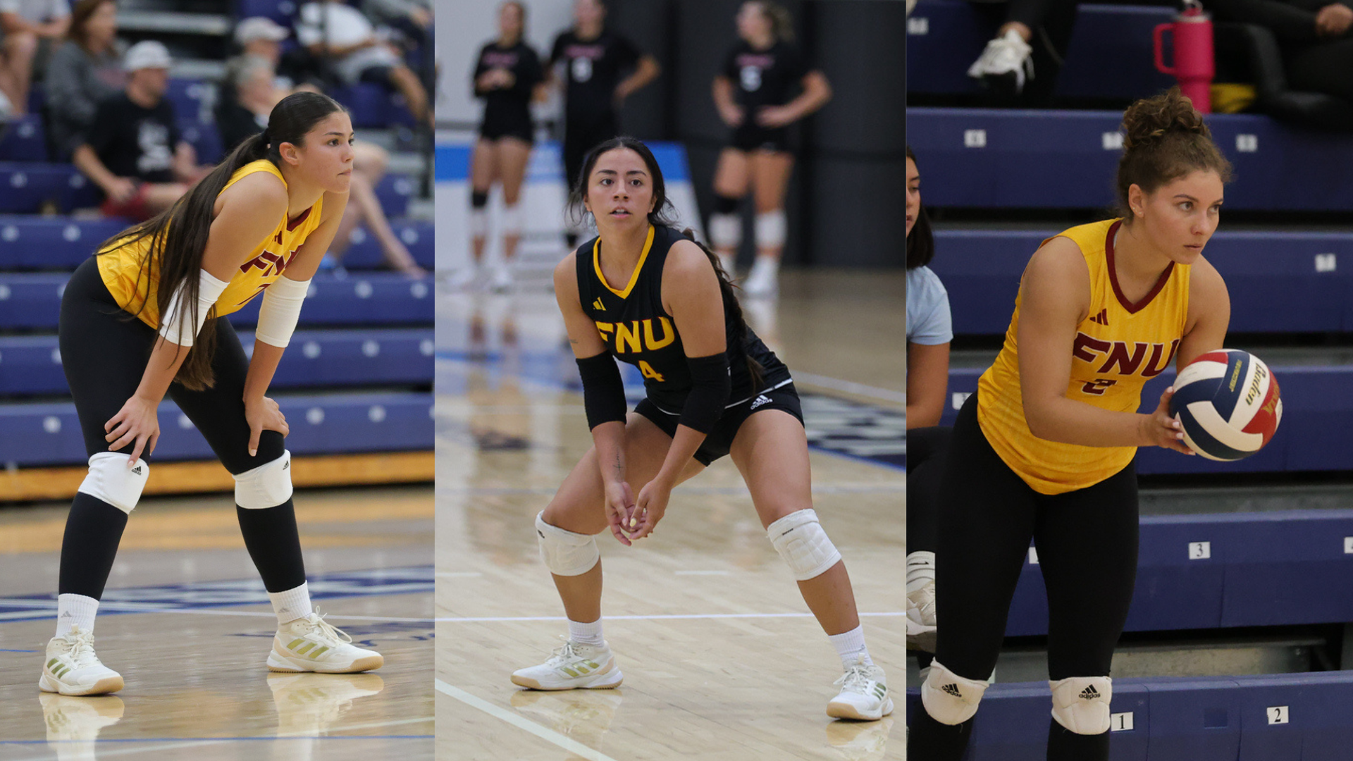 2025 USCAA Volleyball All-Americans graphic