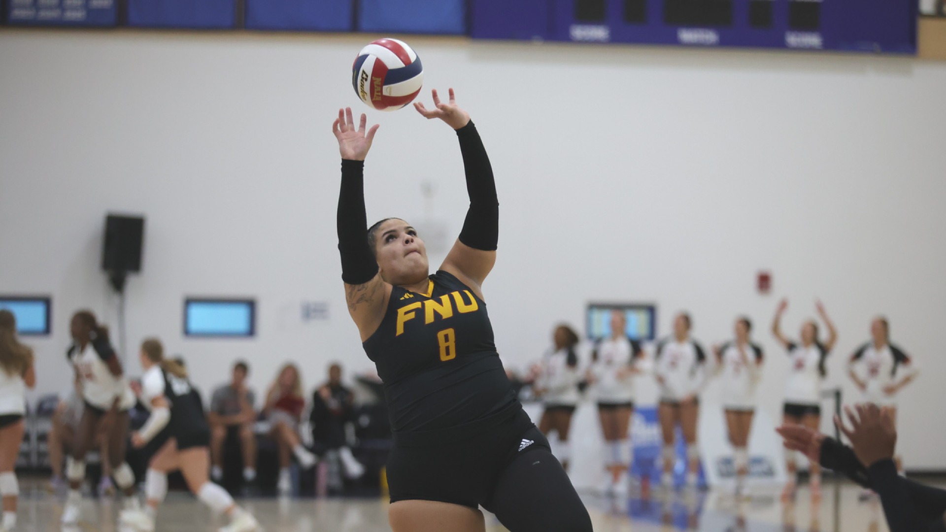 Taysha Ortega setting a ball at Keiser Tournament 2025