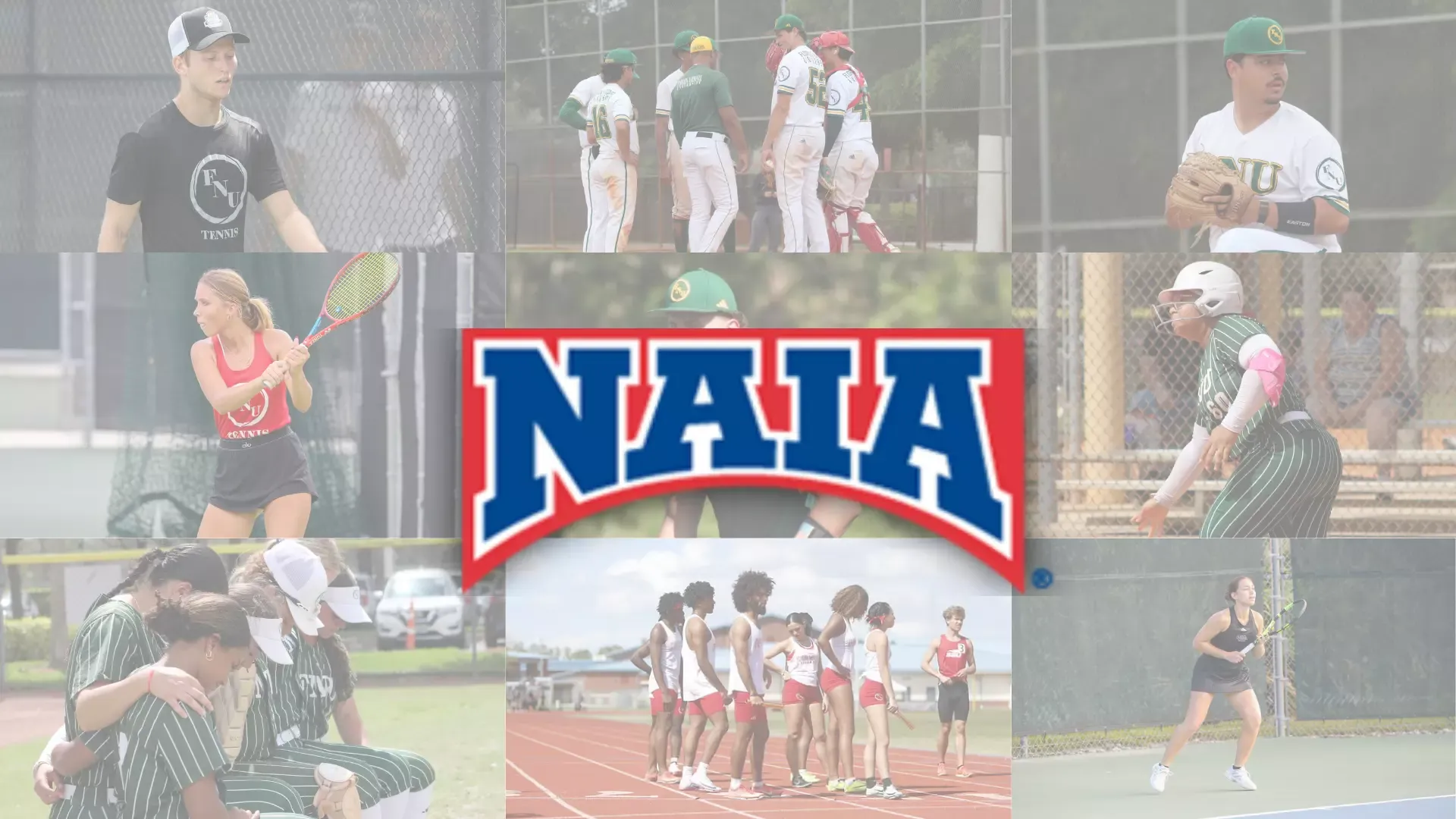 NAIA Spring Scholar-Athlete graphic with different athletes from tennis, baseball, softball and track and field.
