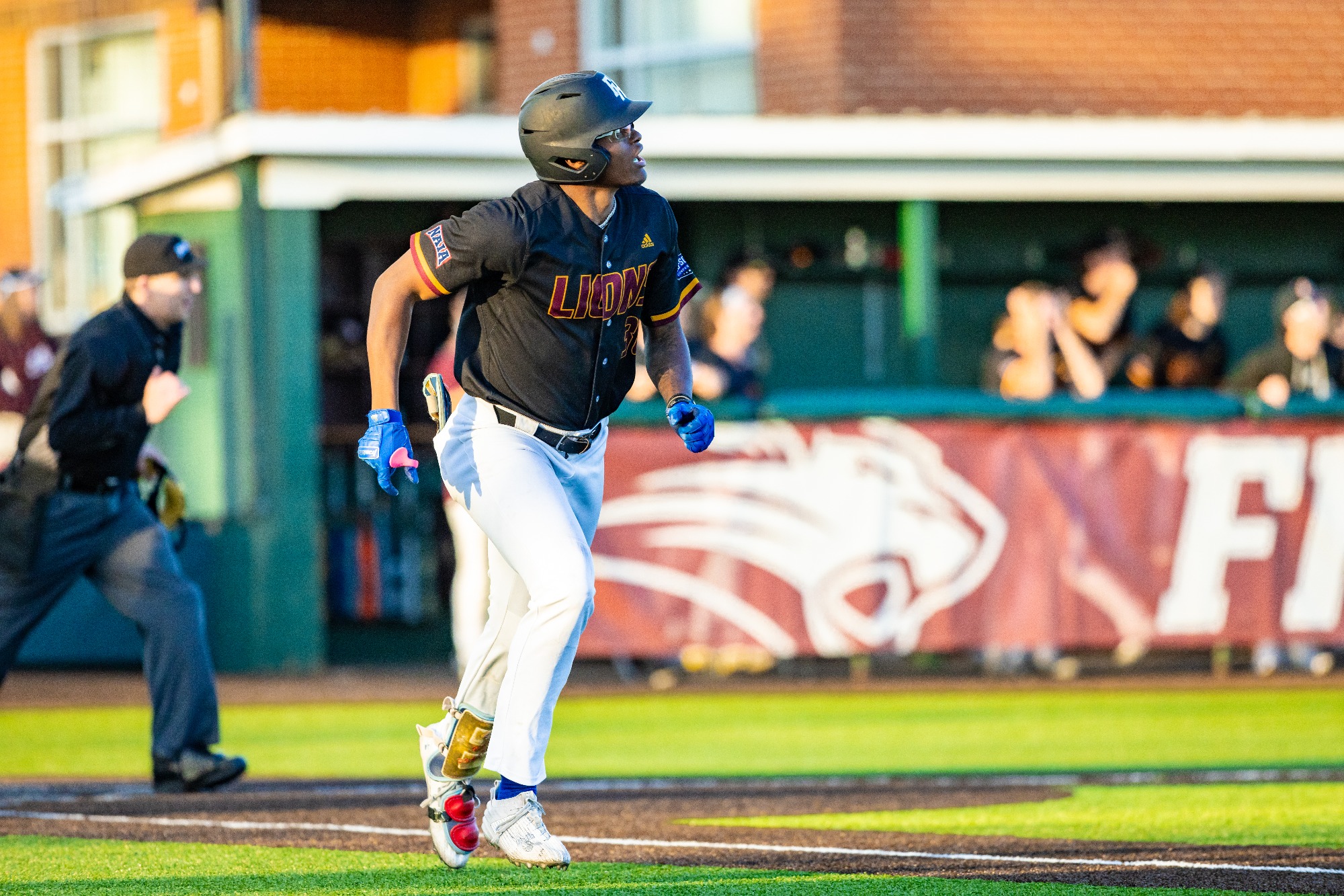 FHU baseball vs. St. Francis.