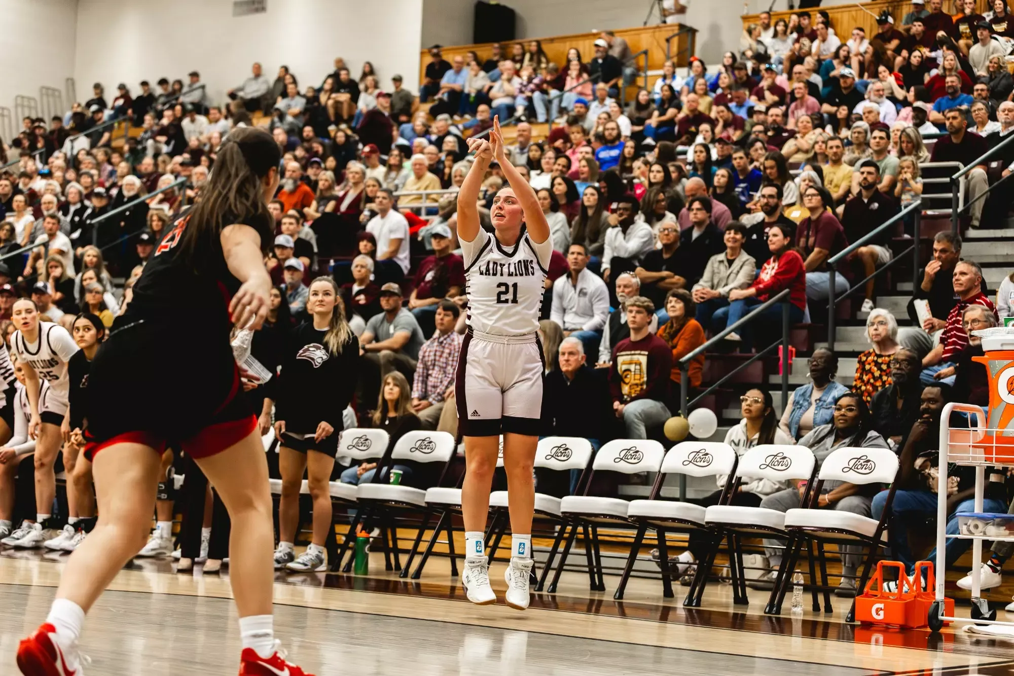 FHU Lady Lions basketball in action