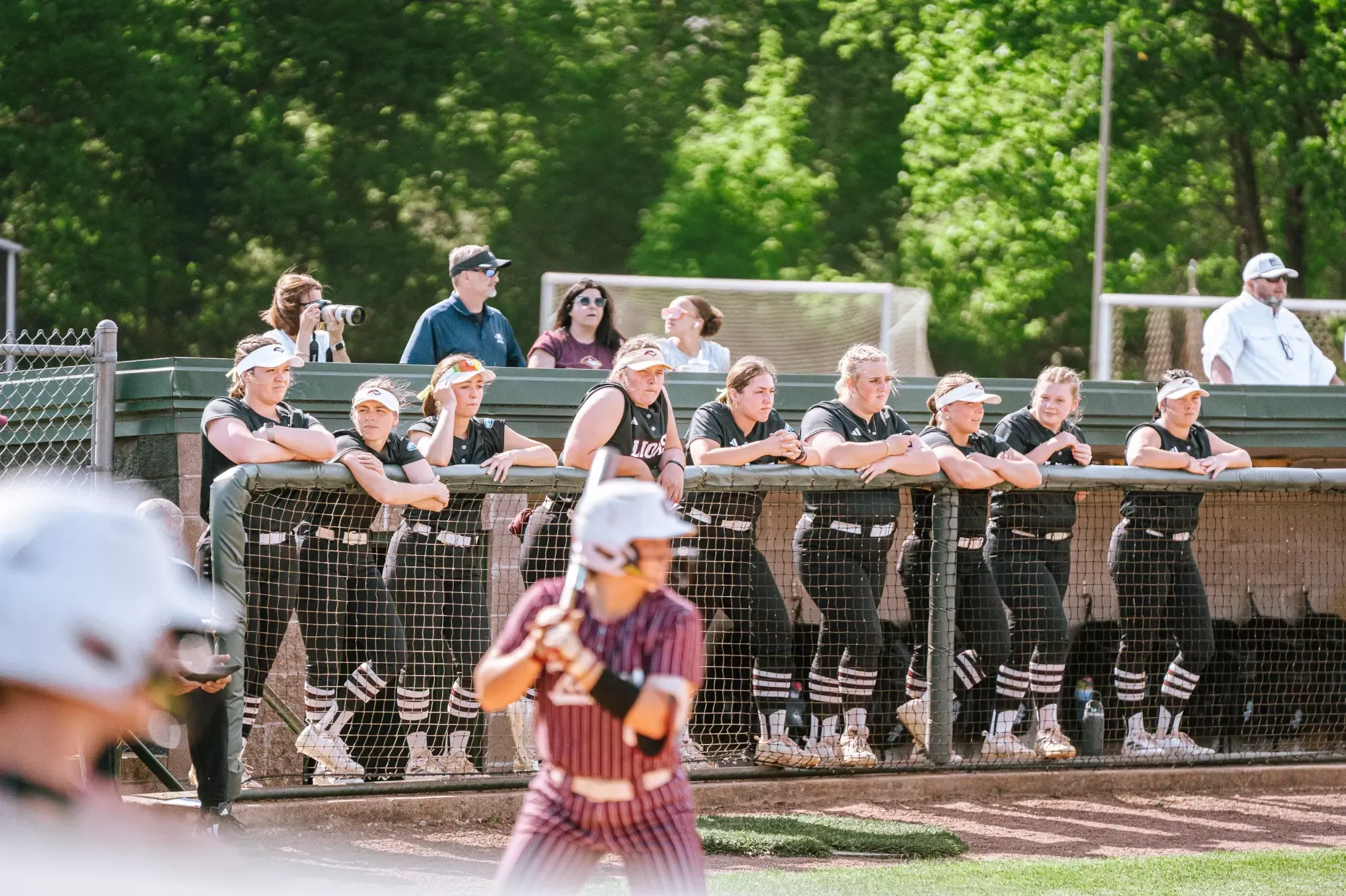 Lady Lion softball in action