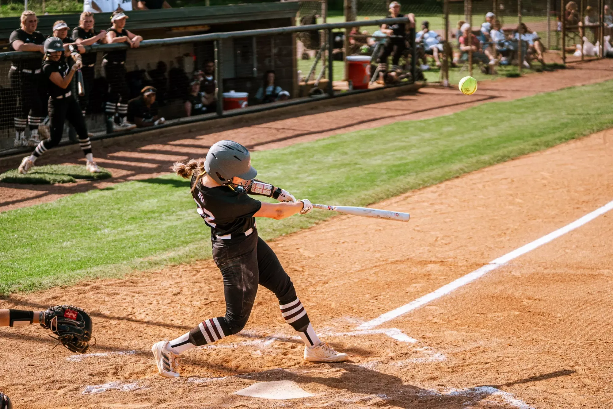 Lady Lion softball in action