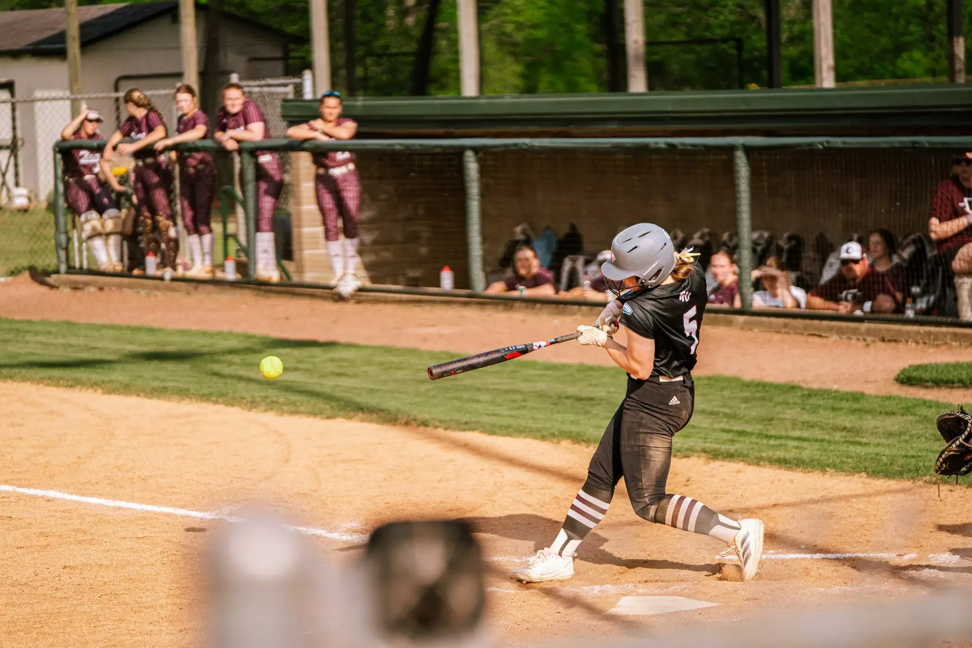 Lady Lion softball in action