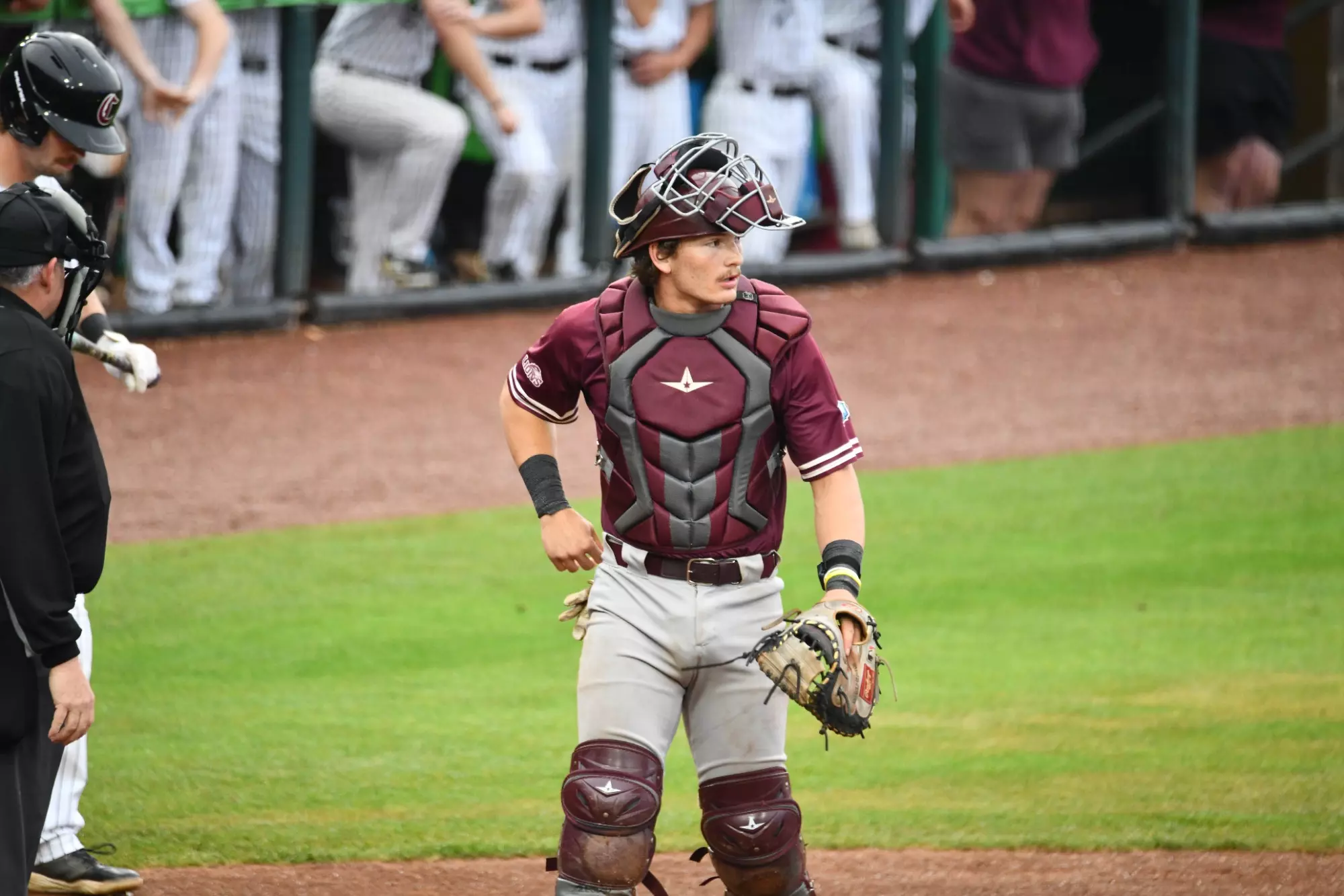 Lions take on Campbellsville in the MSC Tournament