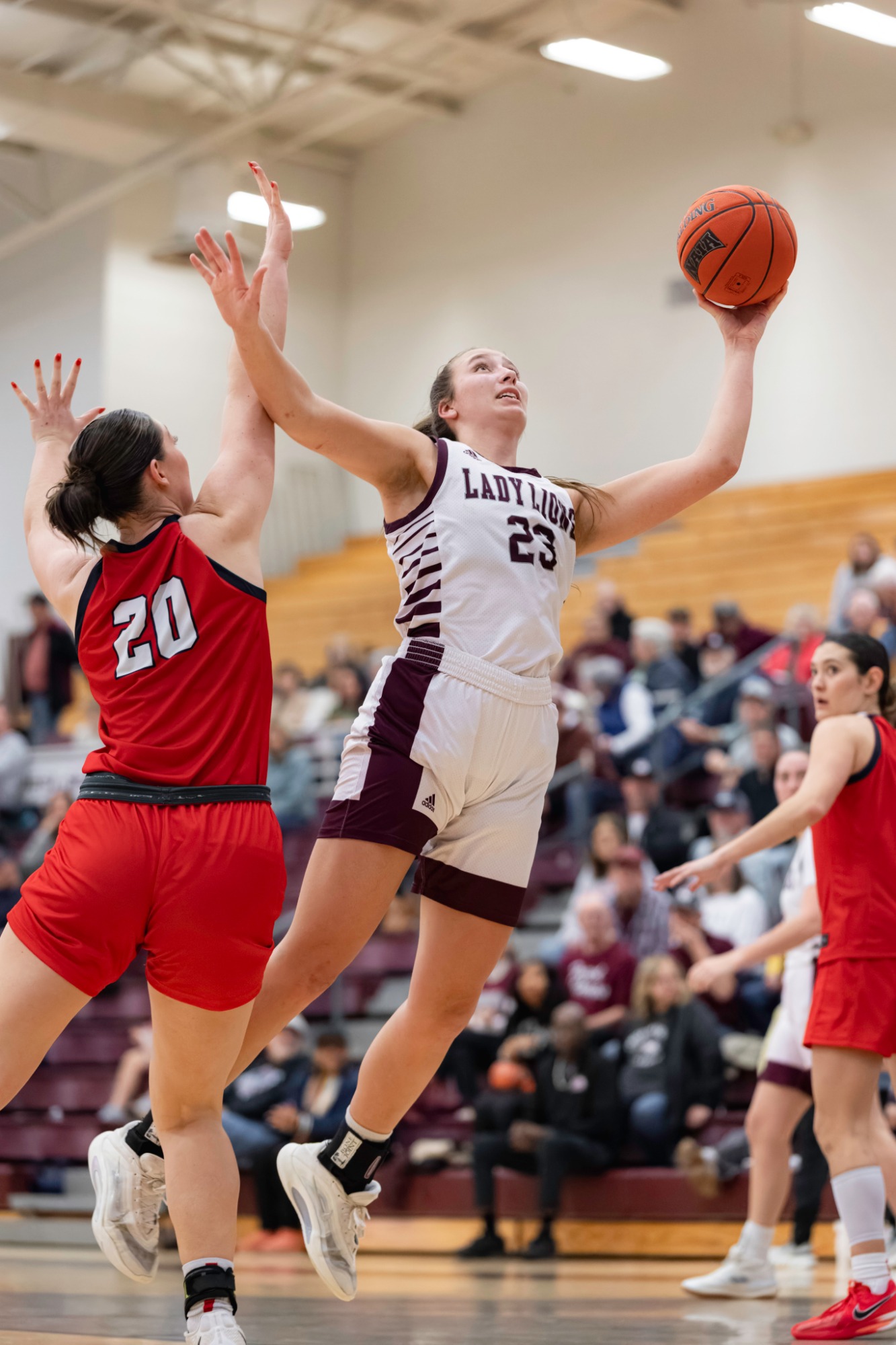 FHU Lady Lion basketball in action.