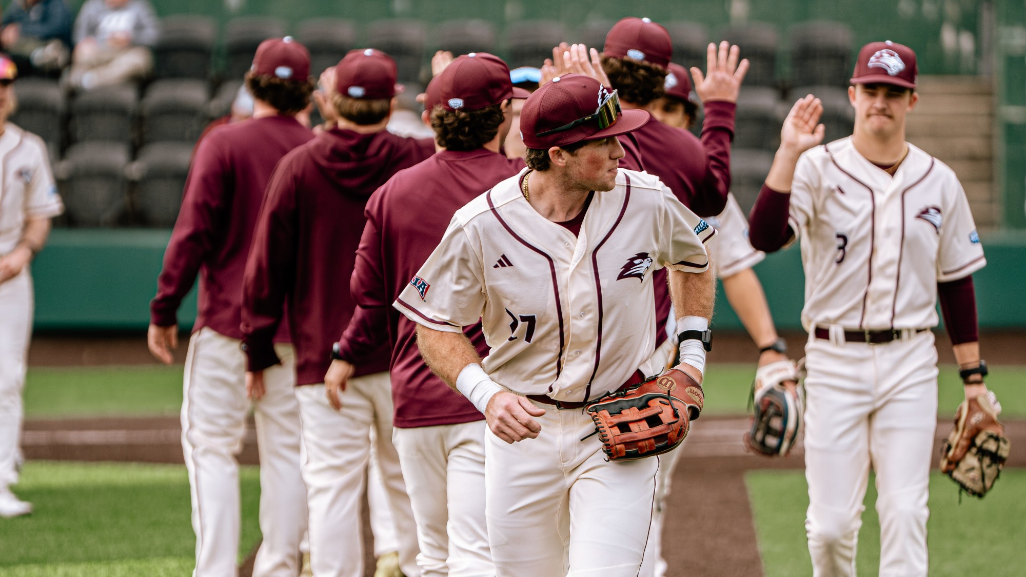 Lions baseball in action