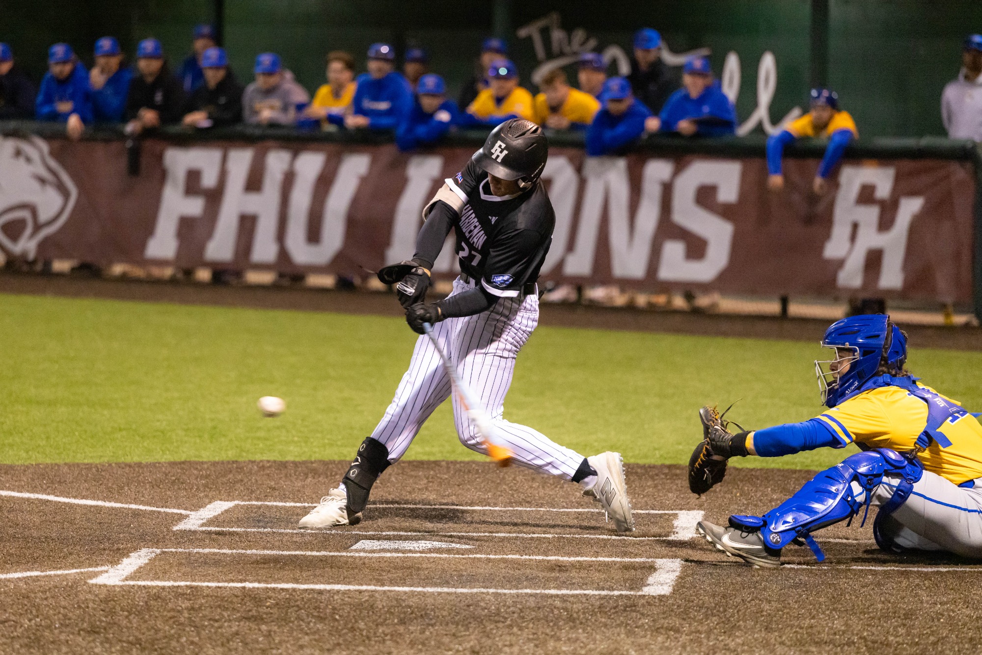 Lions baseball in action