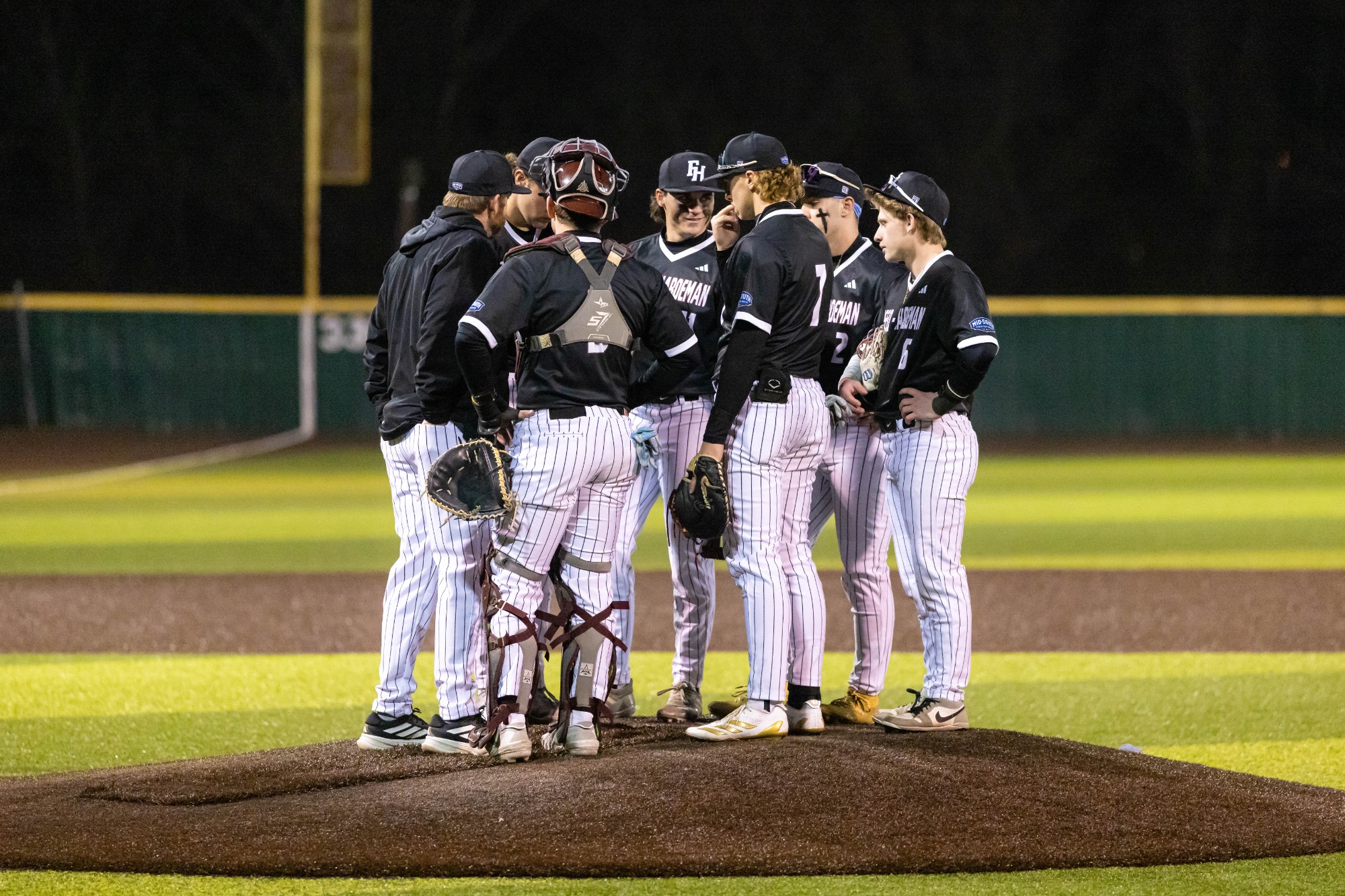 Lions baseball in action