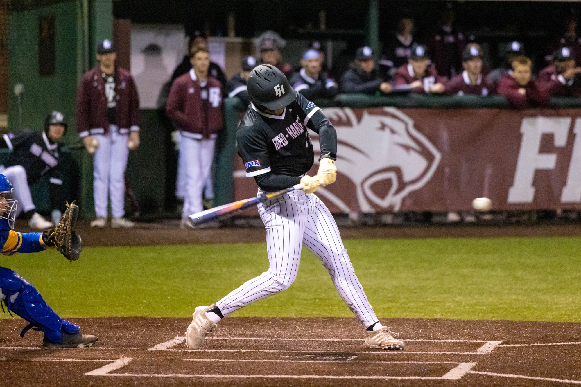 Lions baseball in action