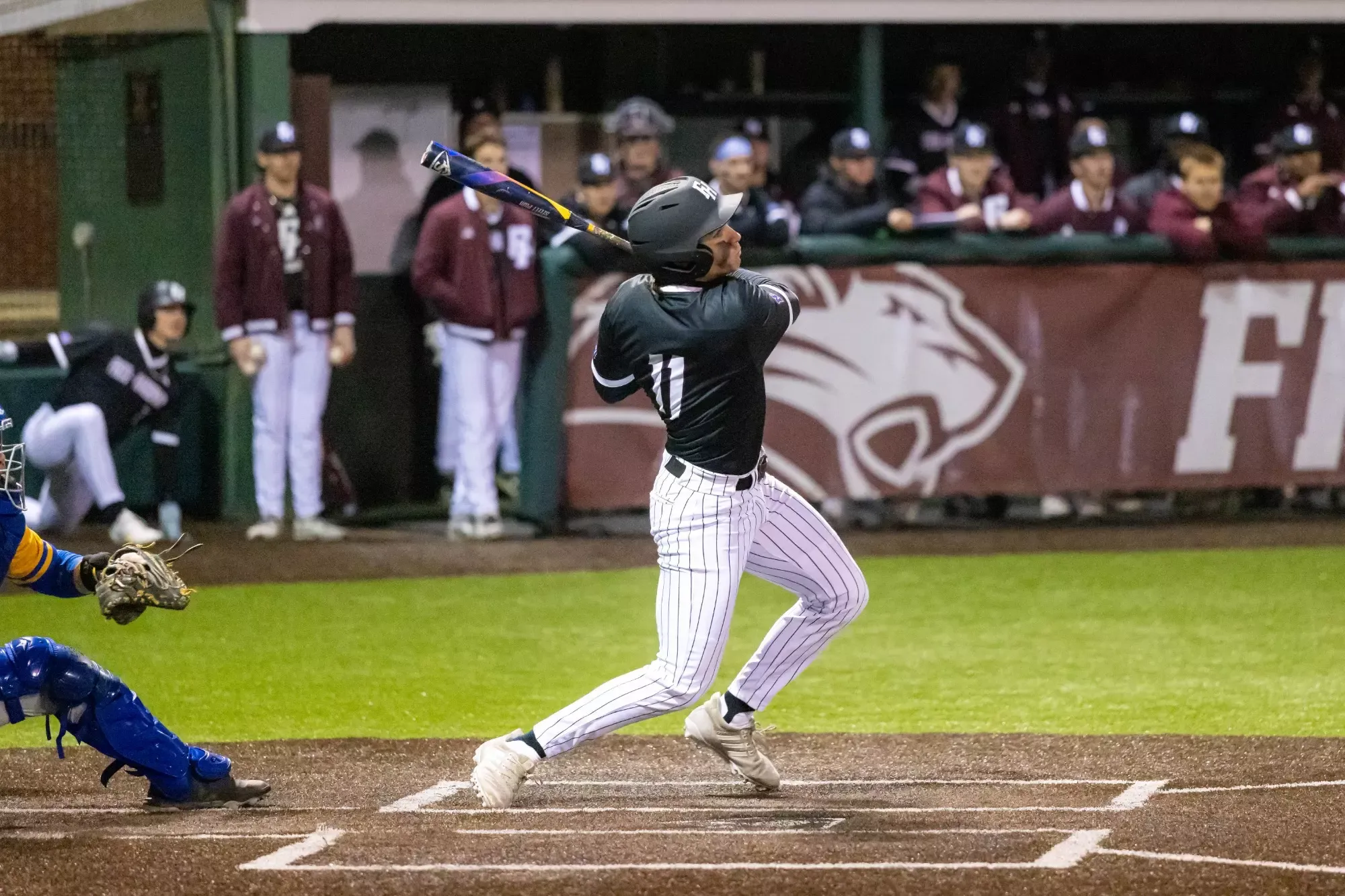Lions baseball in action