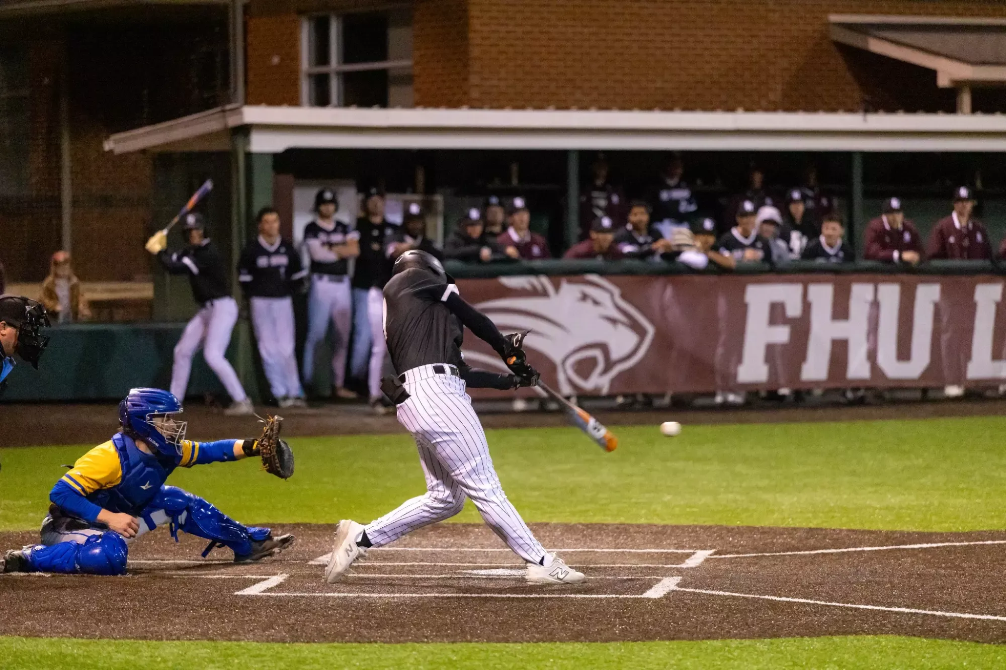 Lions baseball in action