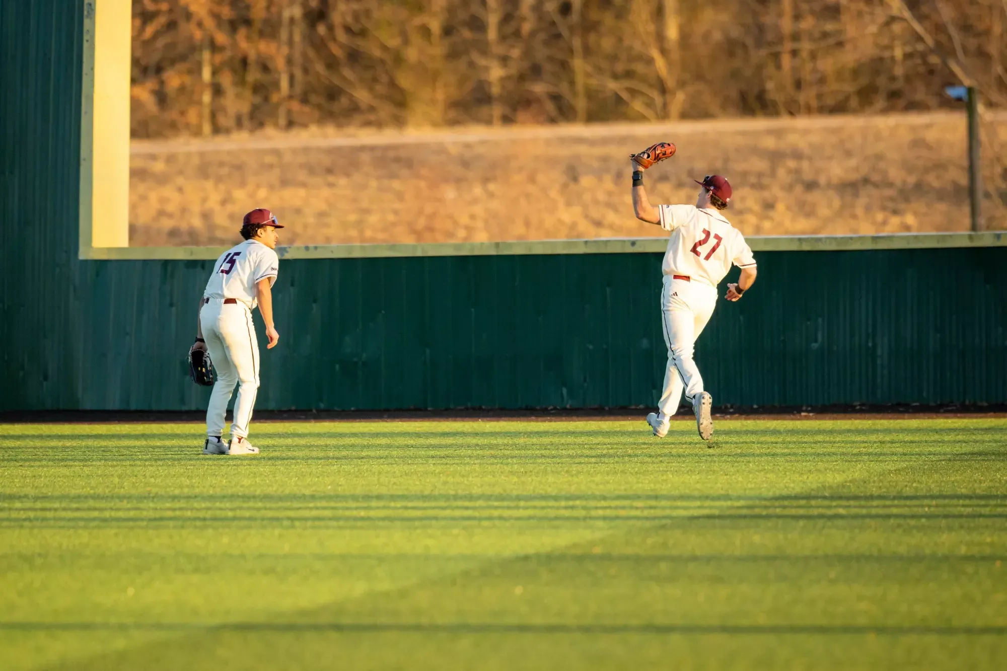 Lions baseball in action