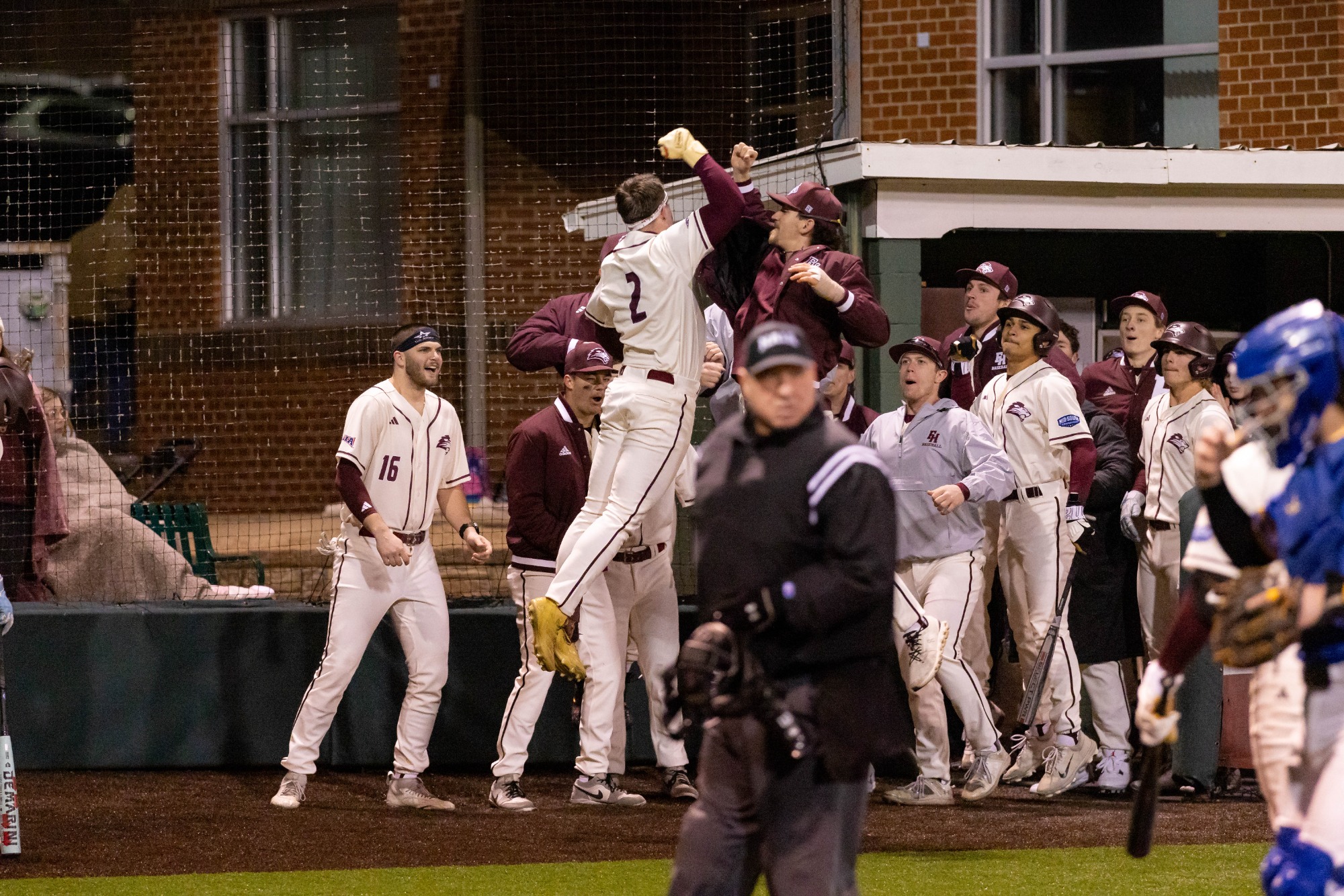 Lions baseball in action