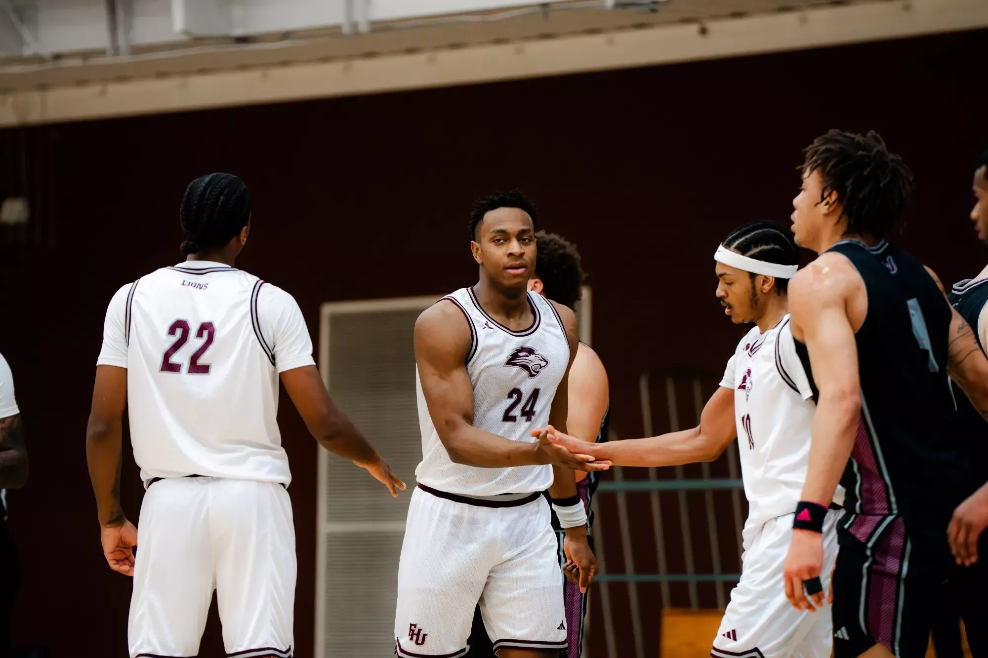 Lion basketball in action