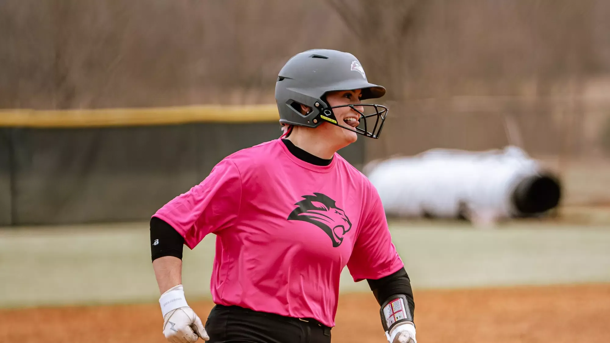 Lady Lion softball in action