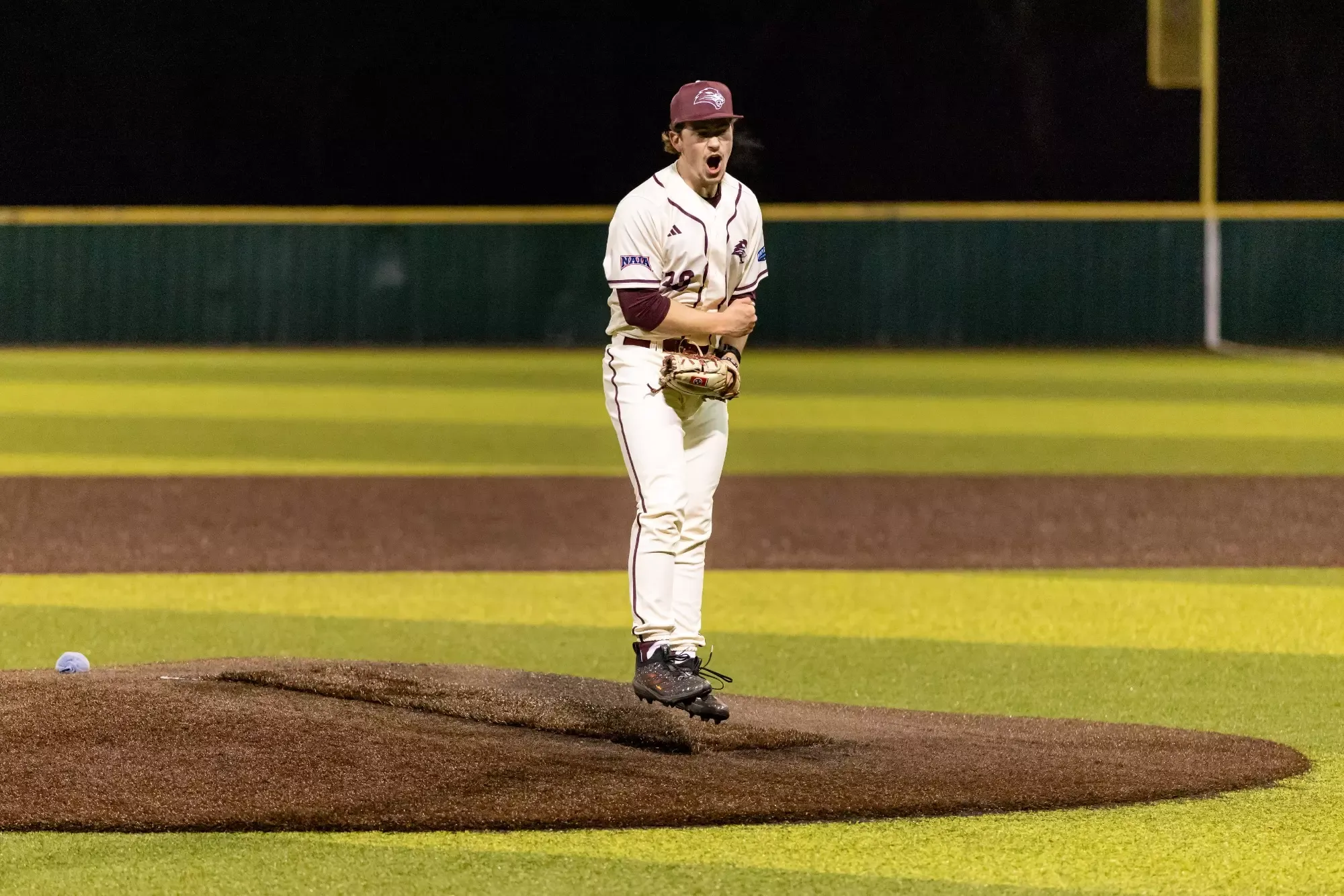 FHU baseball in action